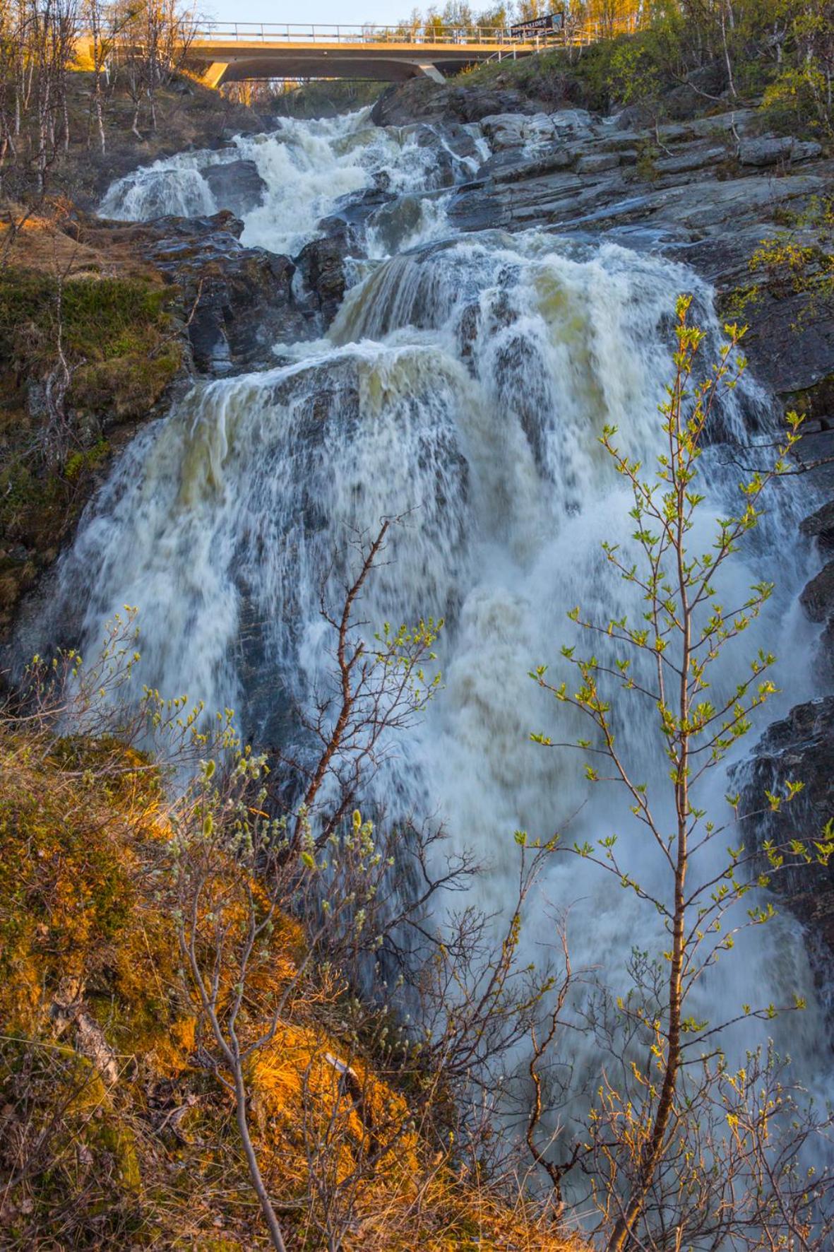 Abisko Guesthouse & Activities