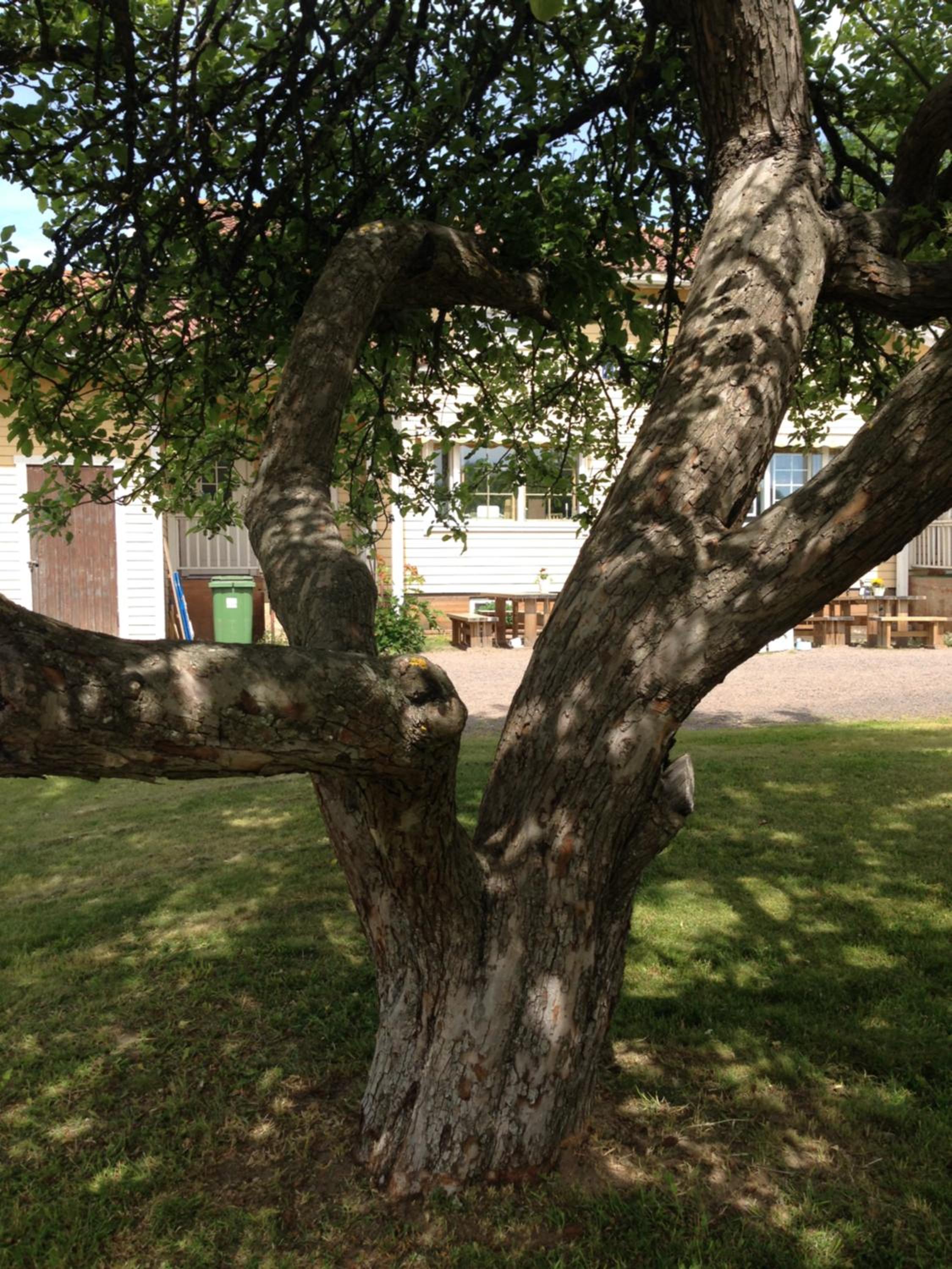 Photo 14