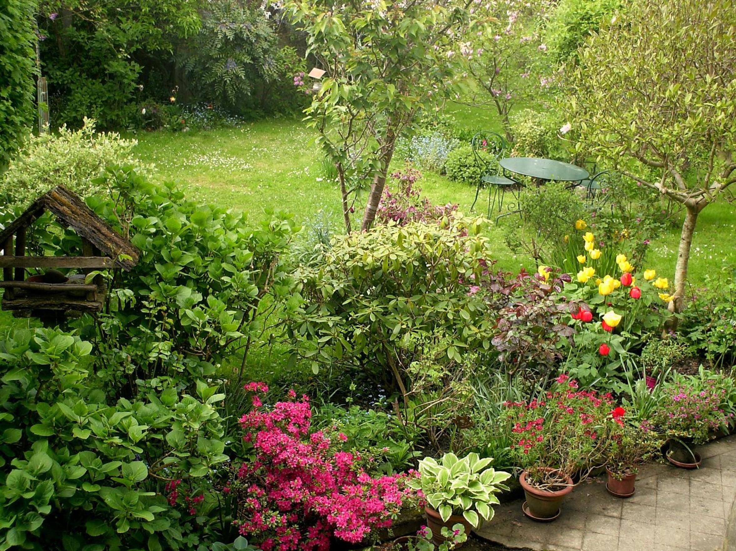 Photo 7