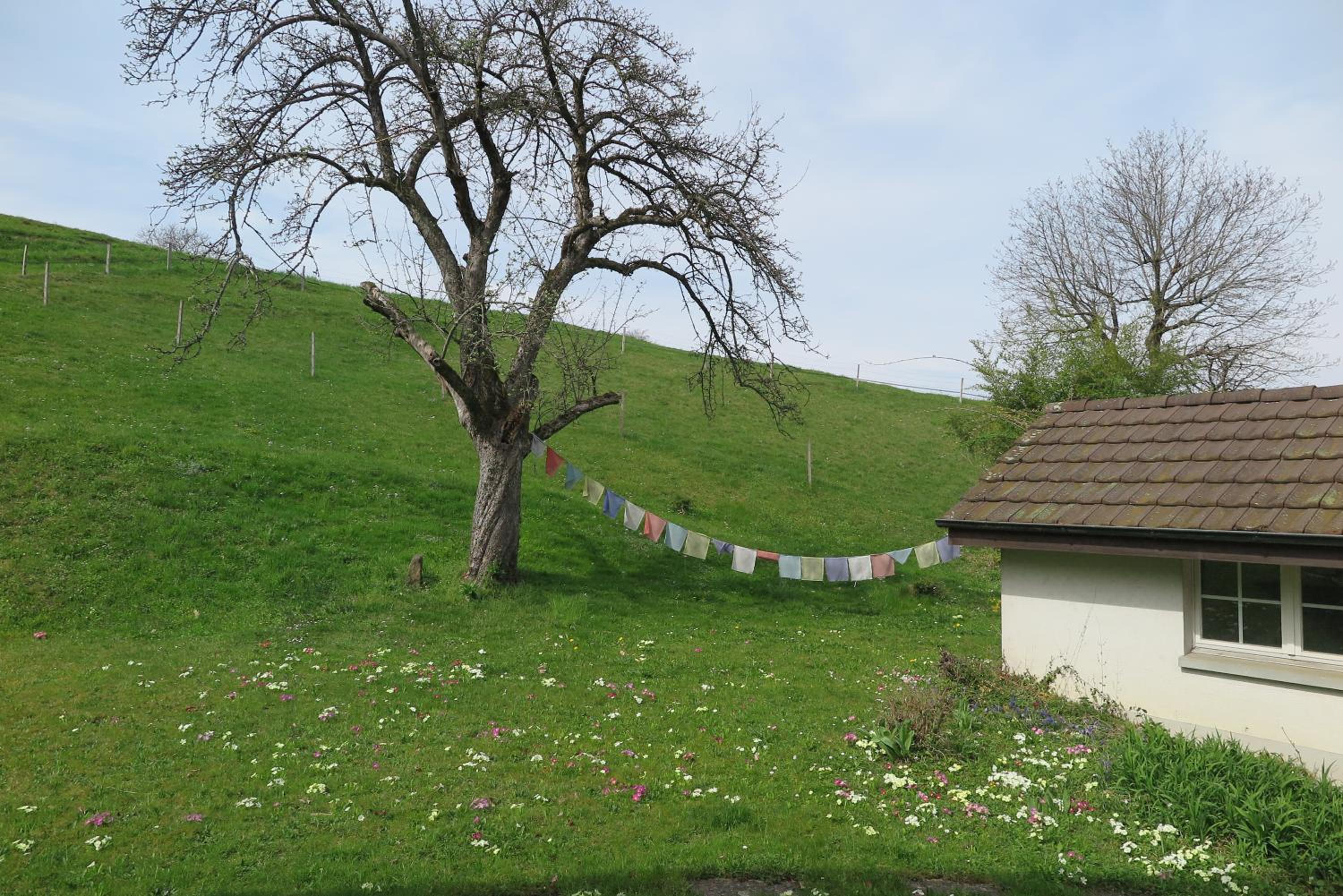 B&B Sigrid Braun-Budde