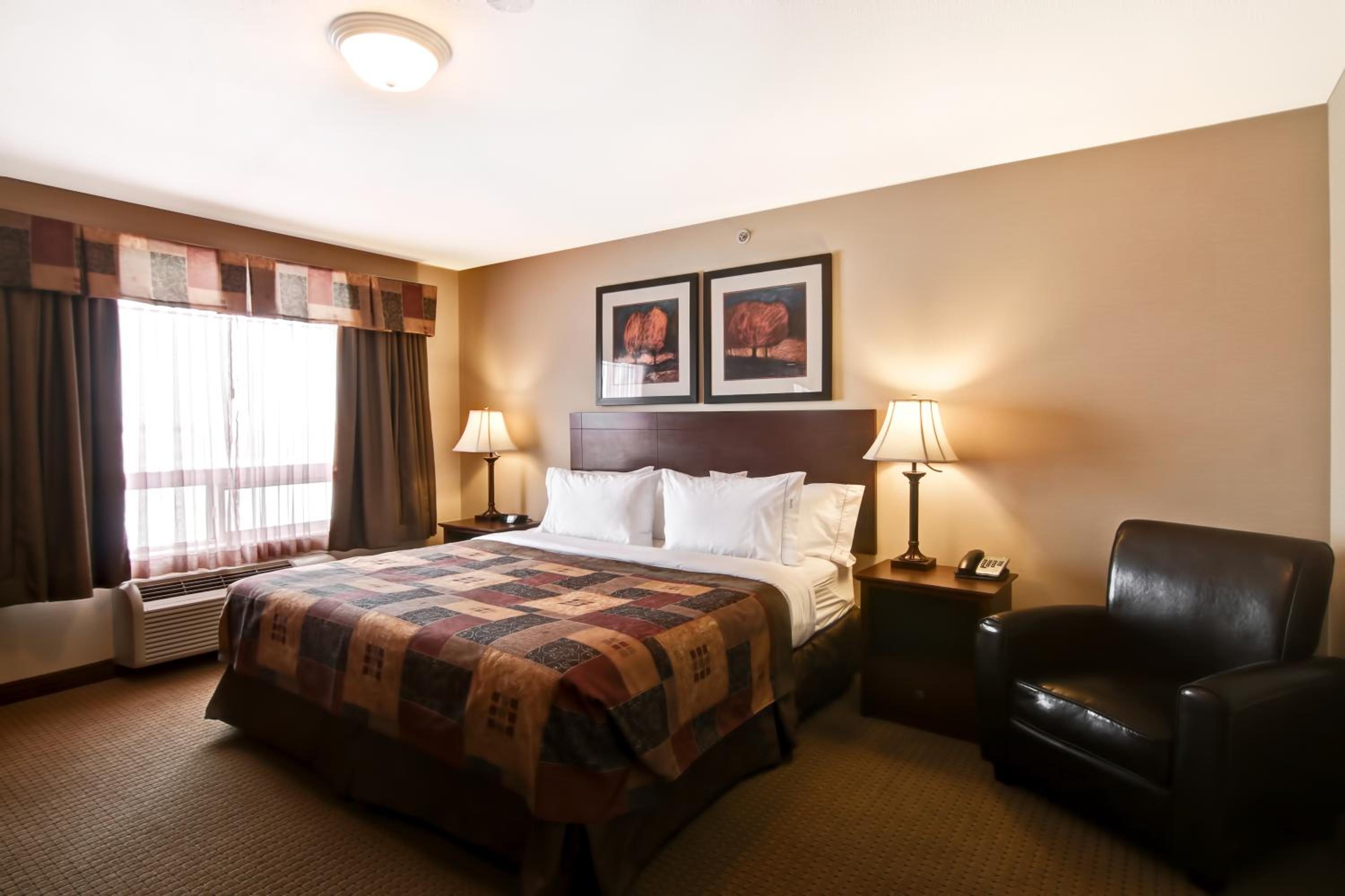 Canalta Hotel Camrose