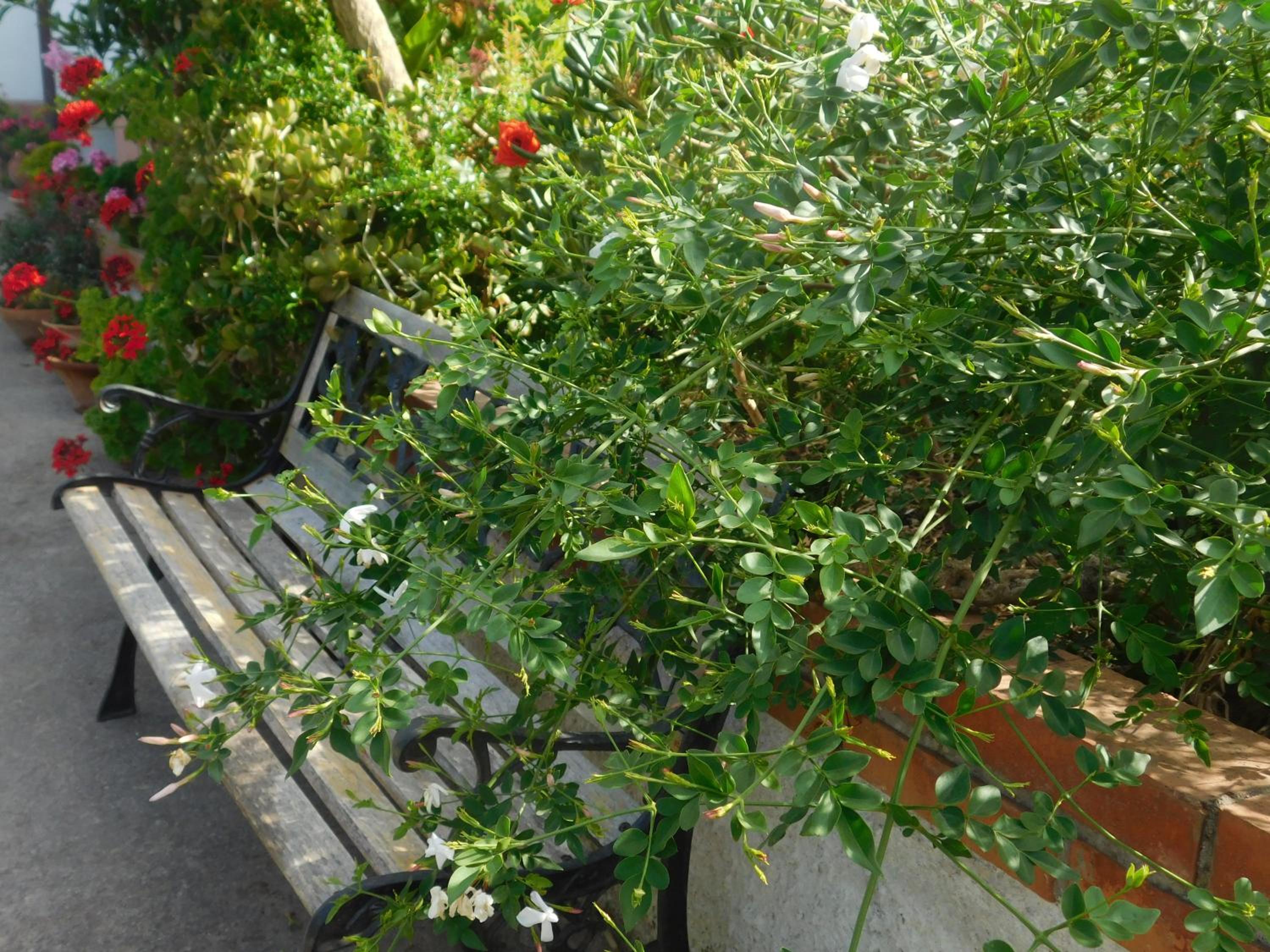 Photo 22