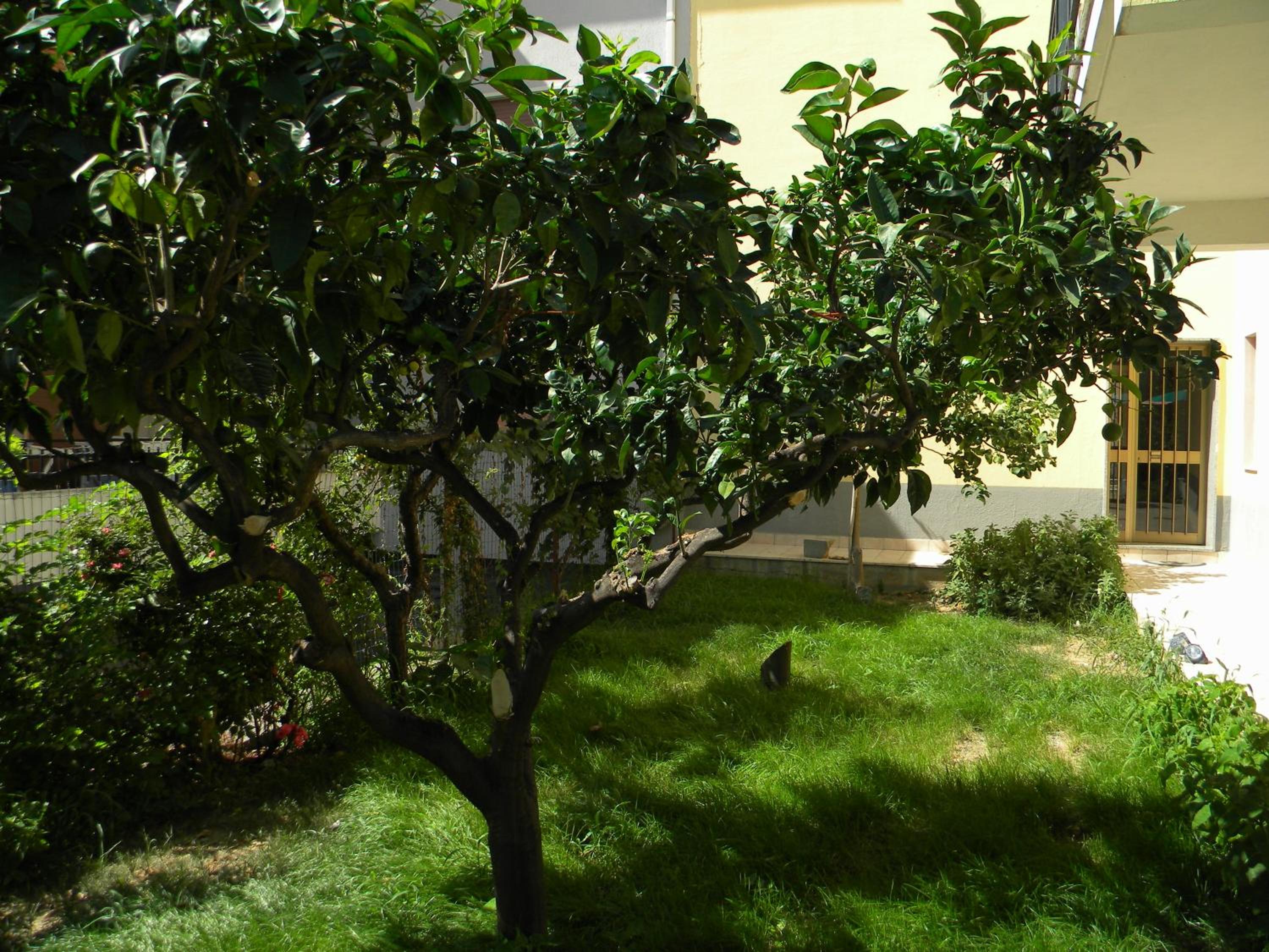 B&B Il Giardino Diamante view 3