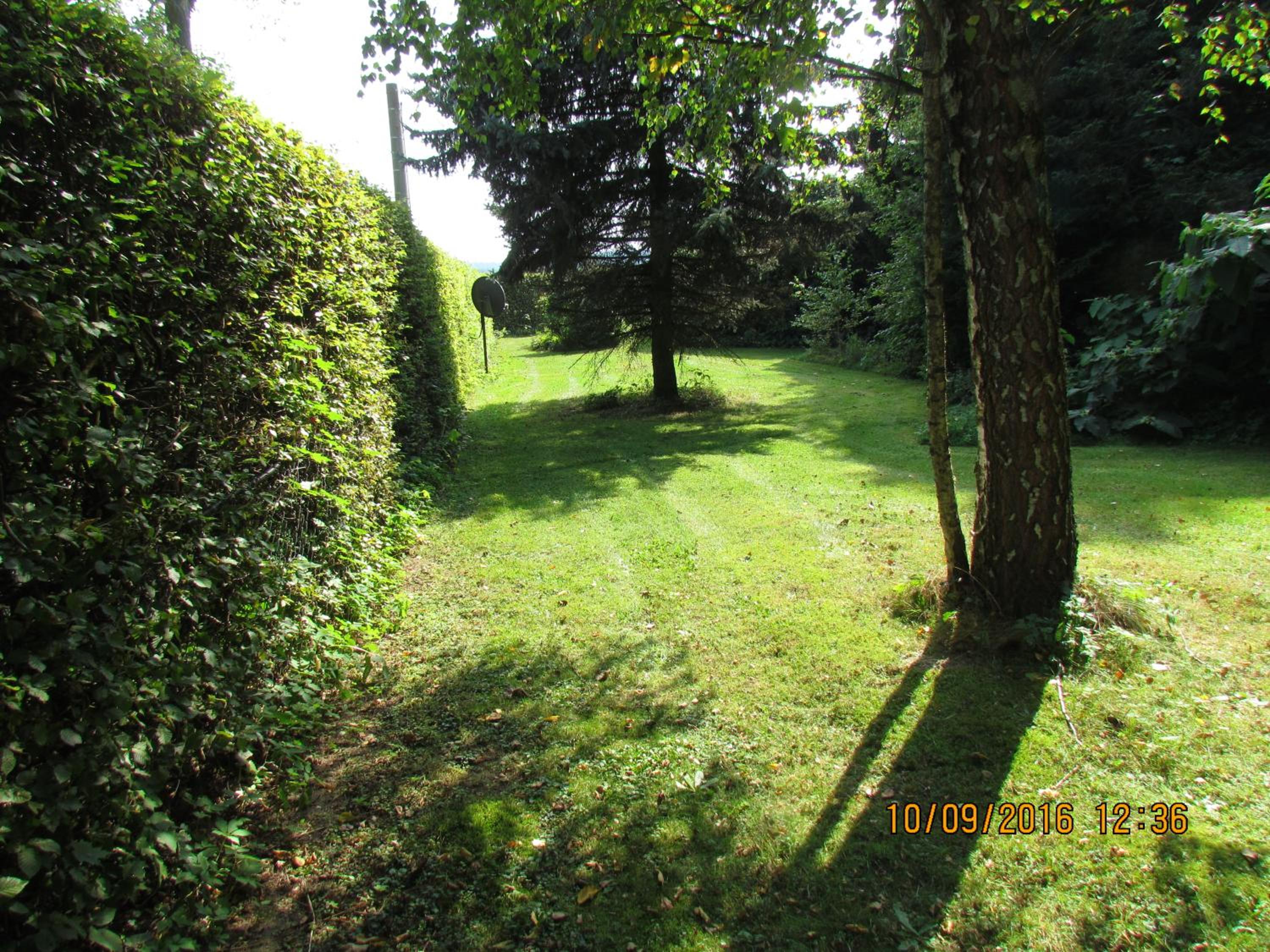 Photo 30