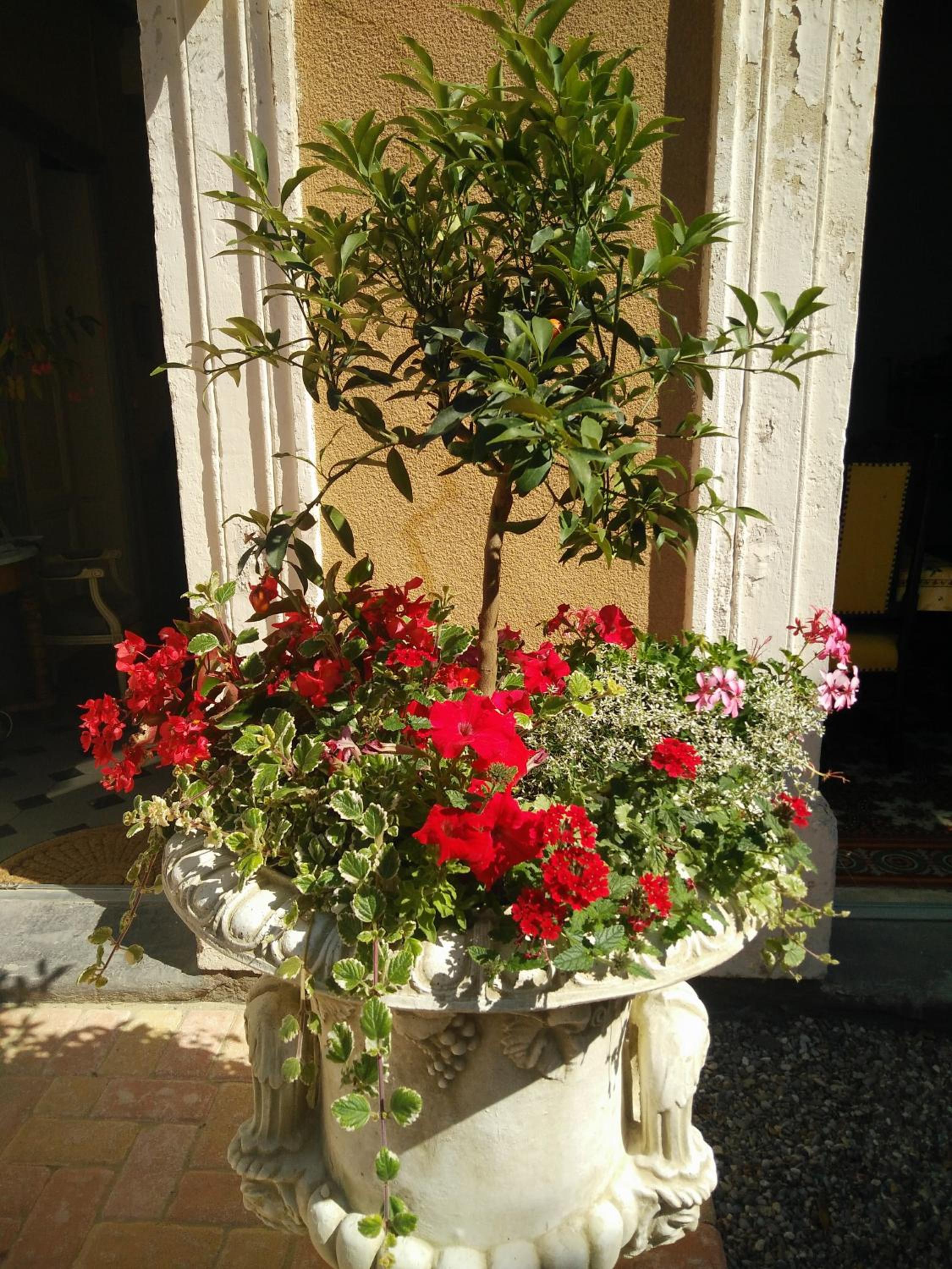 La Maison des Palmiers view 5