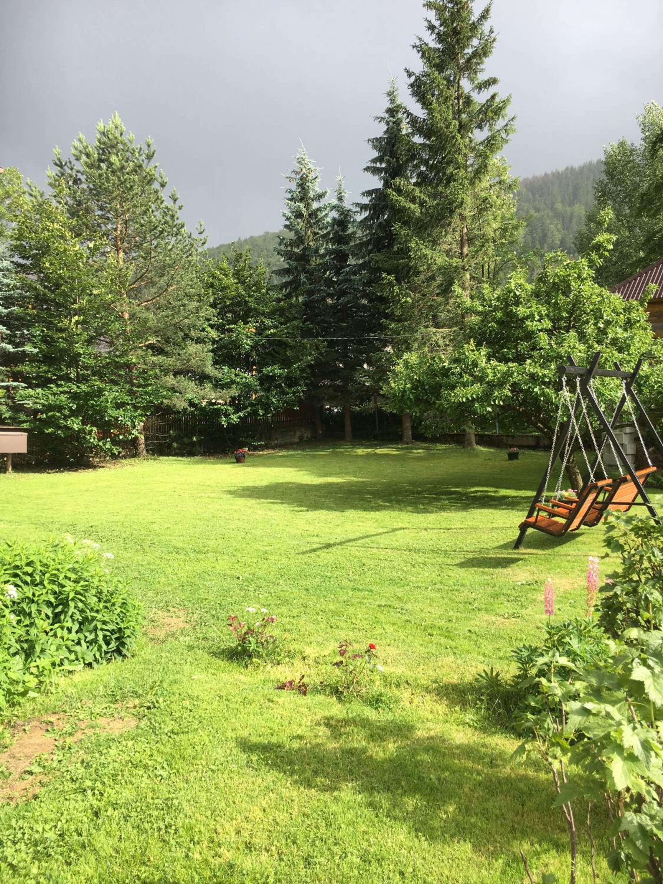 Nosalove Apartamenty view 4