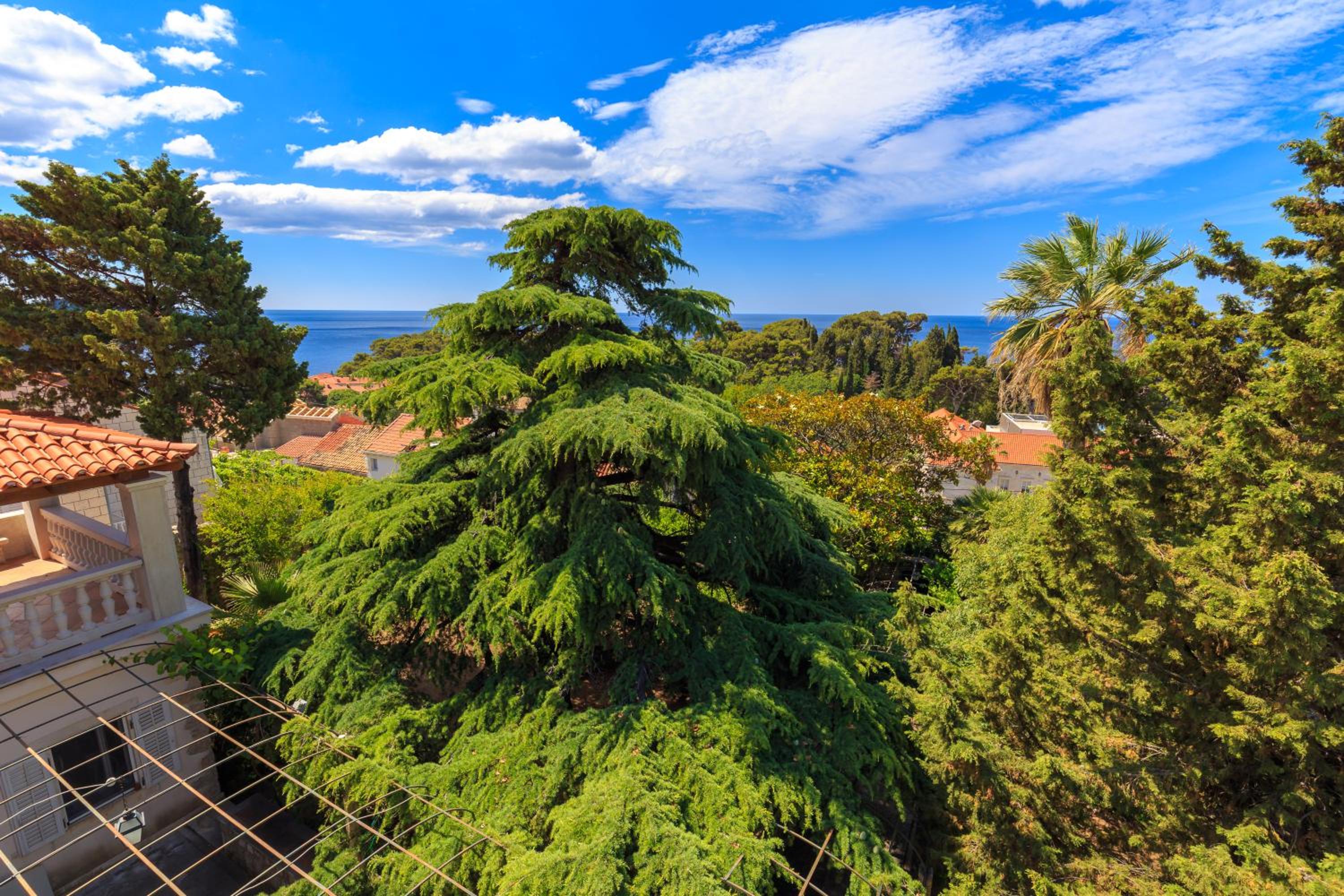 Hedera Estate, House Hedera V