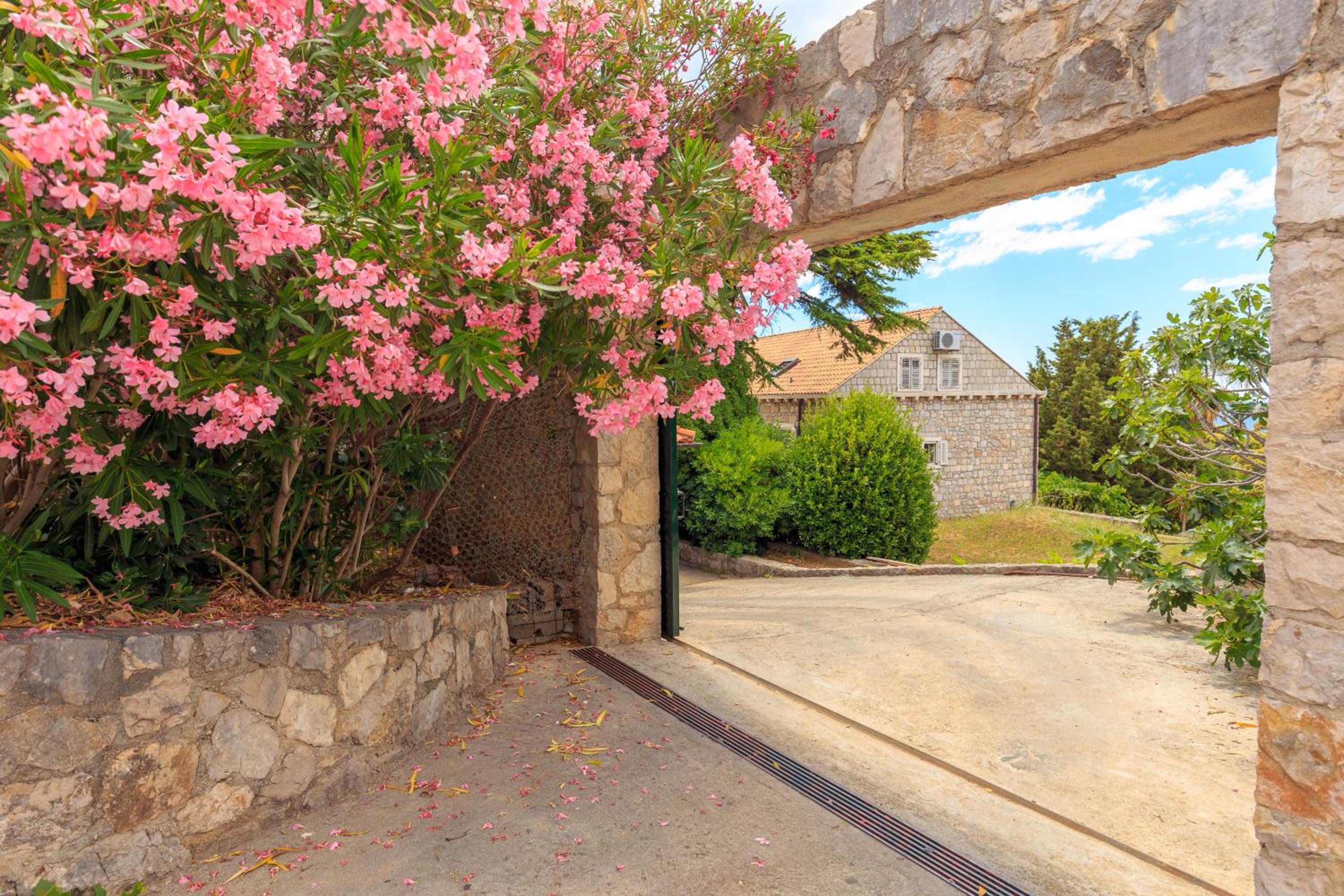 Hedera Estate, House Hedera V