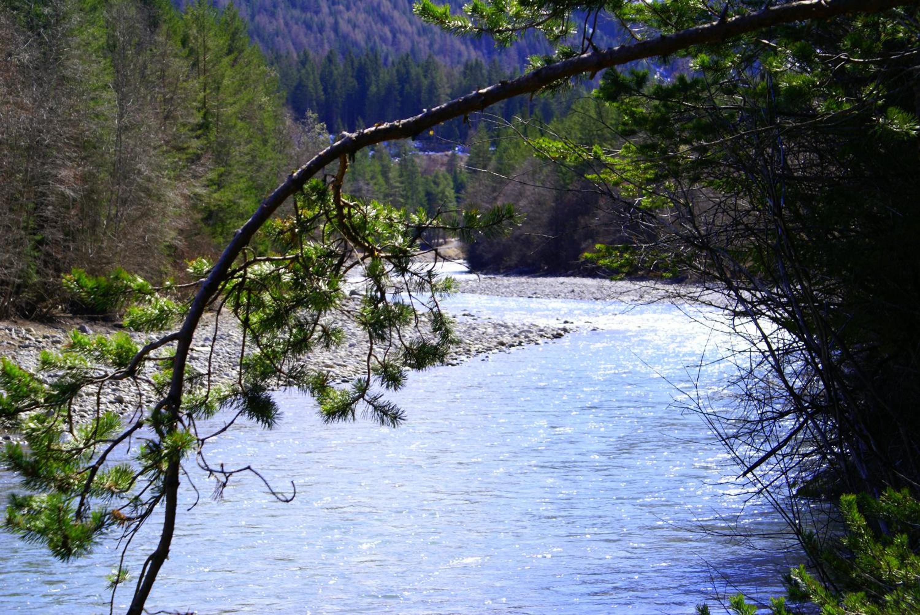 Photo 43