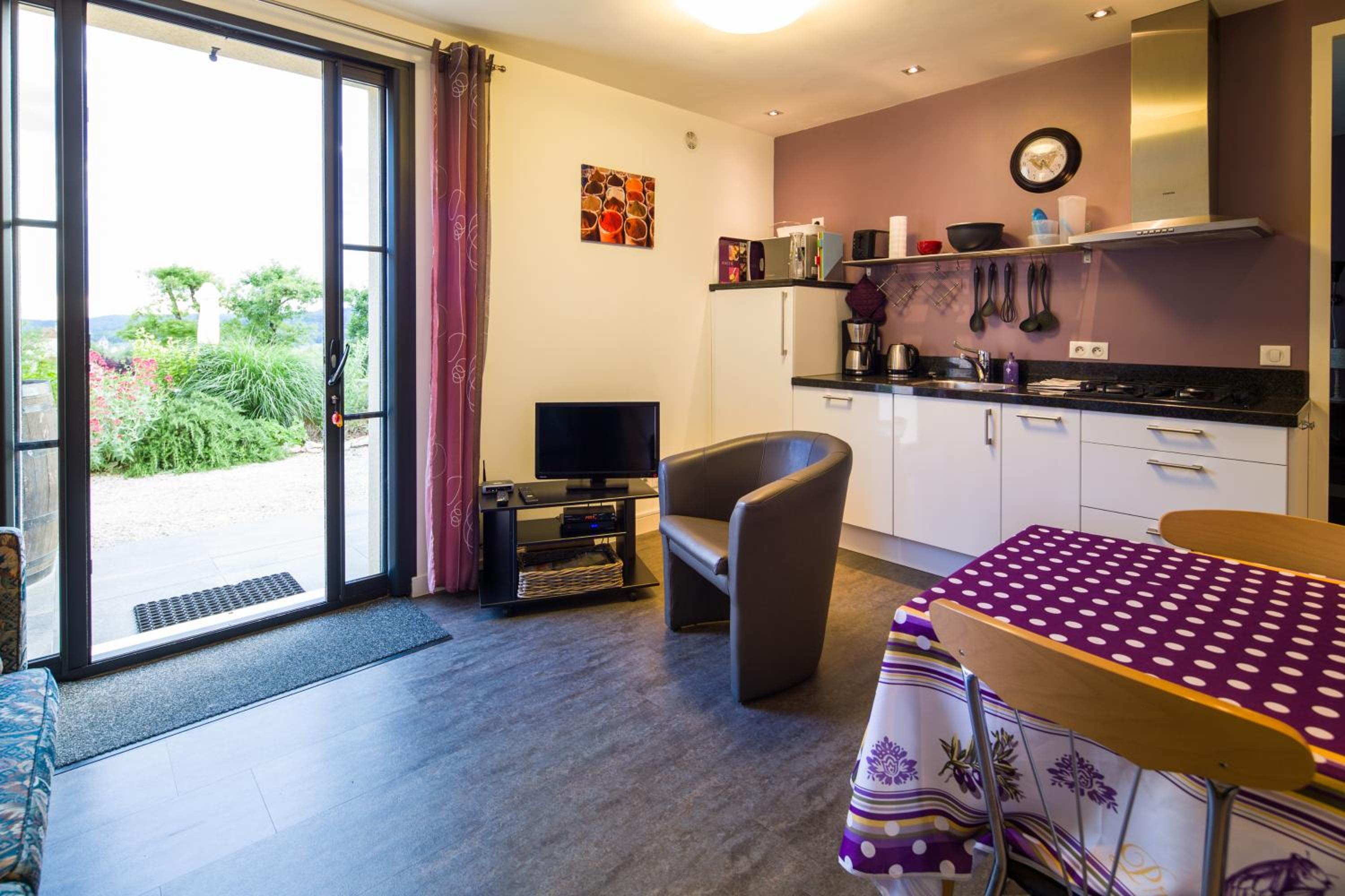 Domaine l'Ancien Vignoble view 2