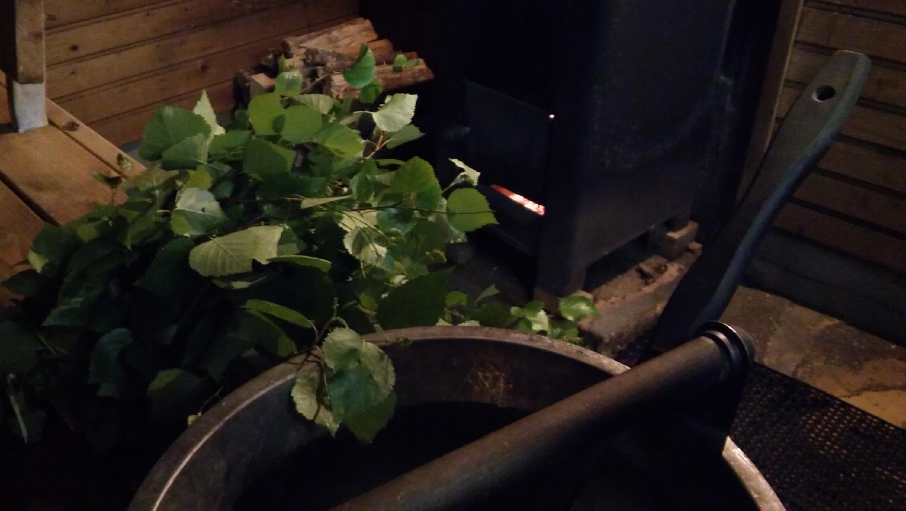 Photo 41