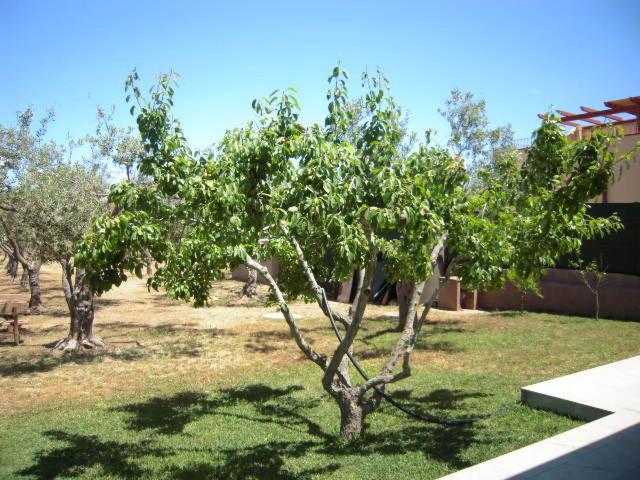 Photo 27