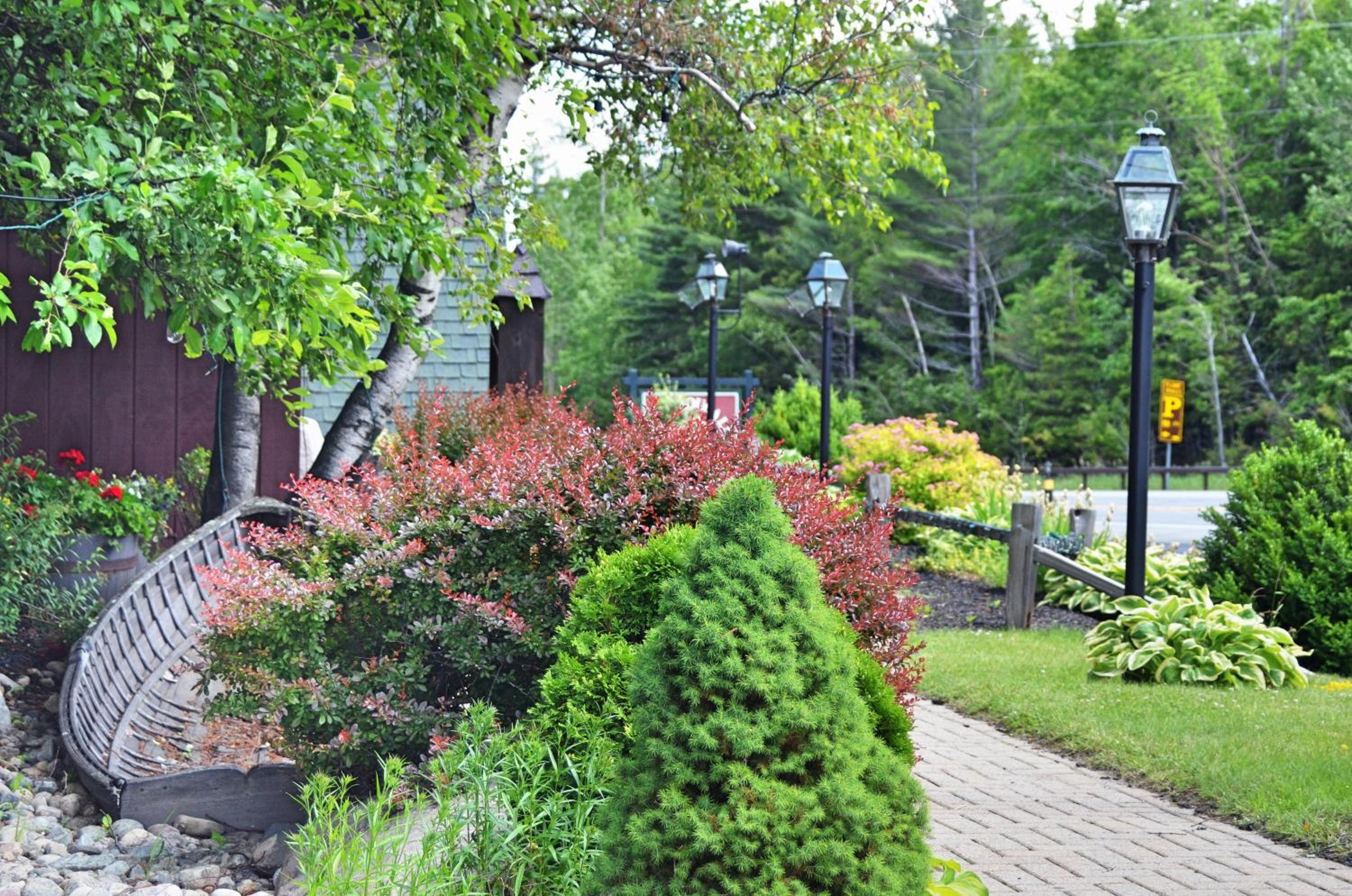 Hungry Trout Resort
