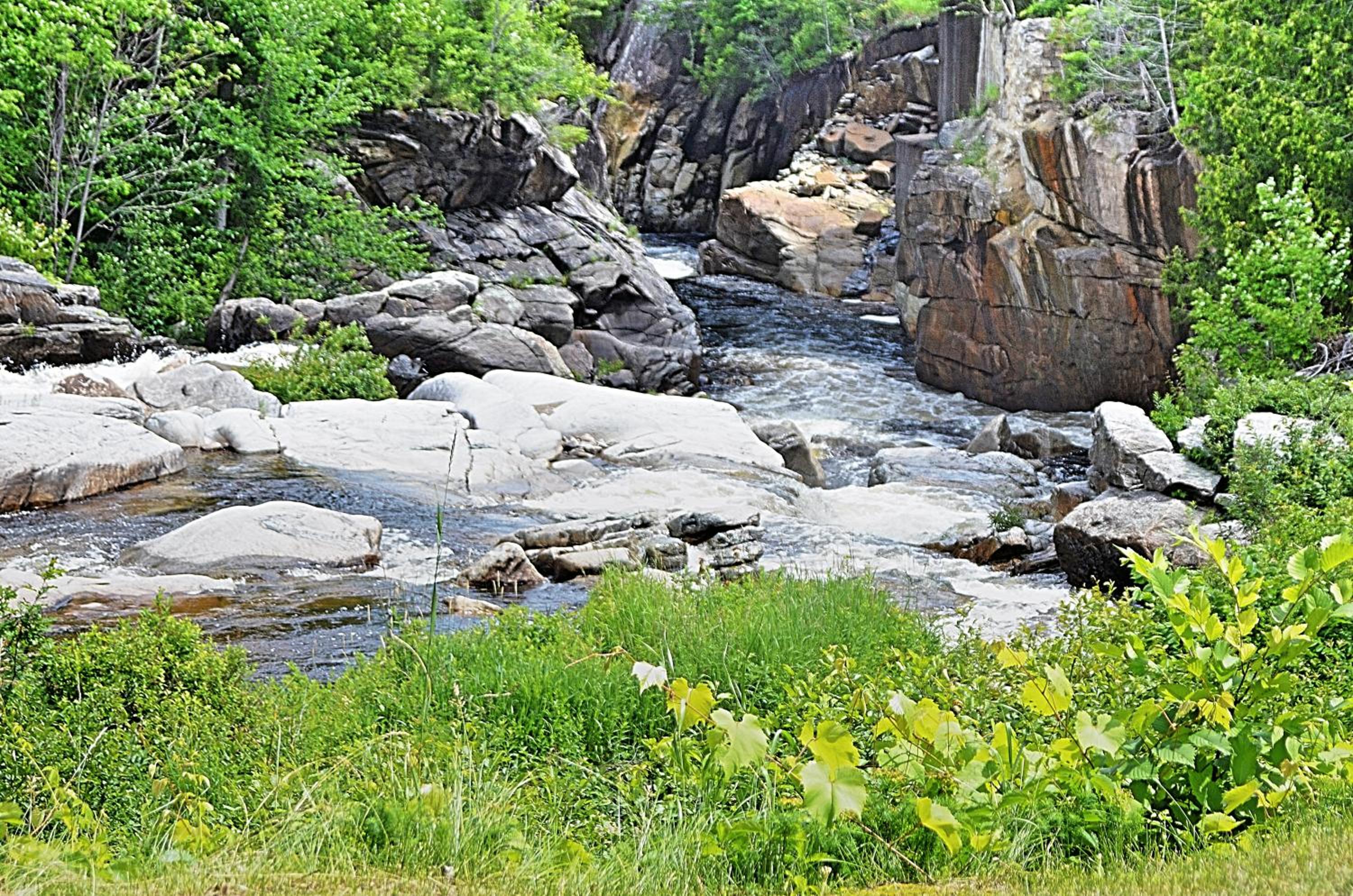 Hungry Trout Resort