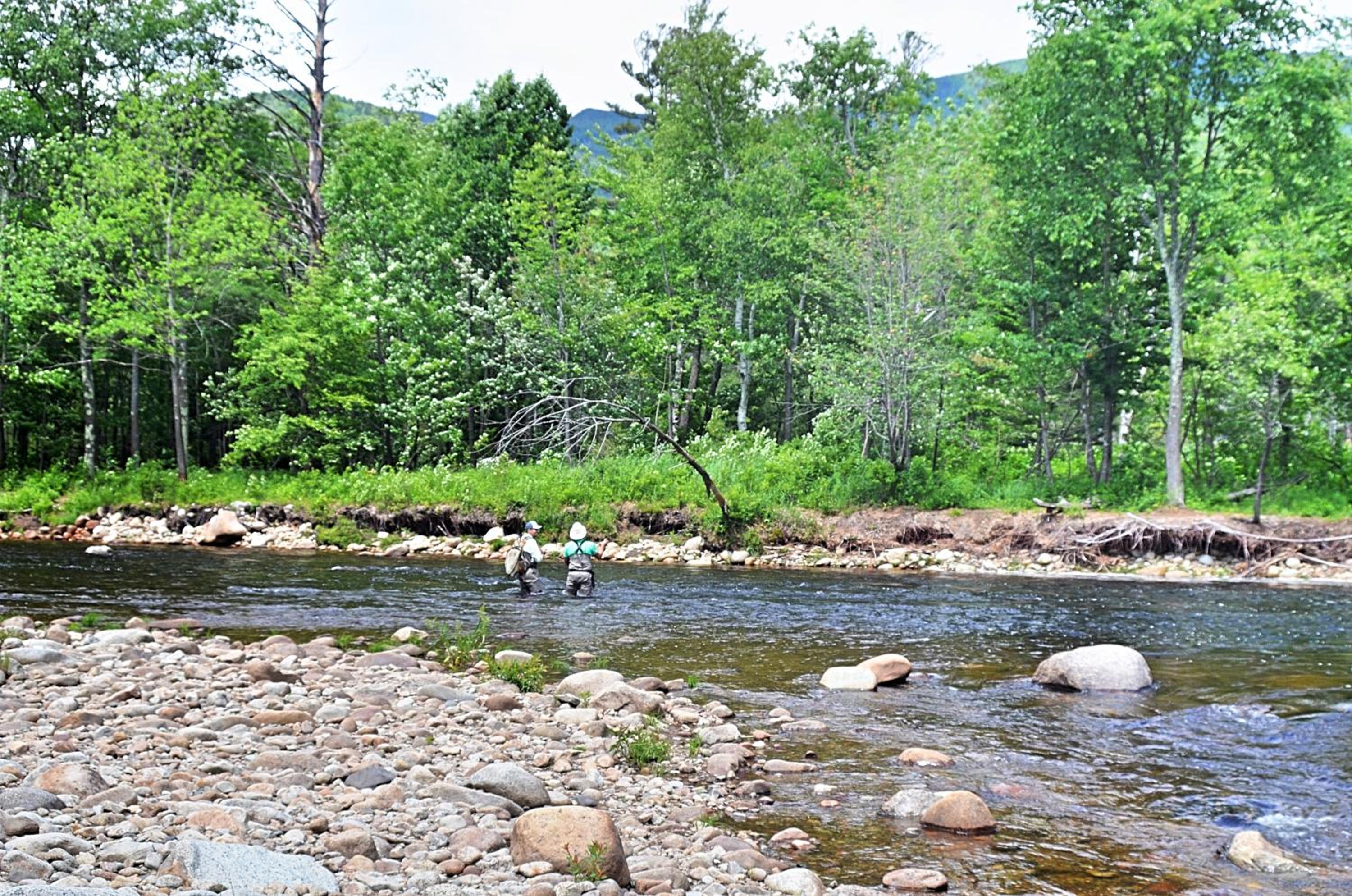 Hungry Trout Resort