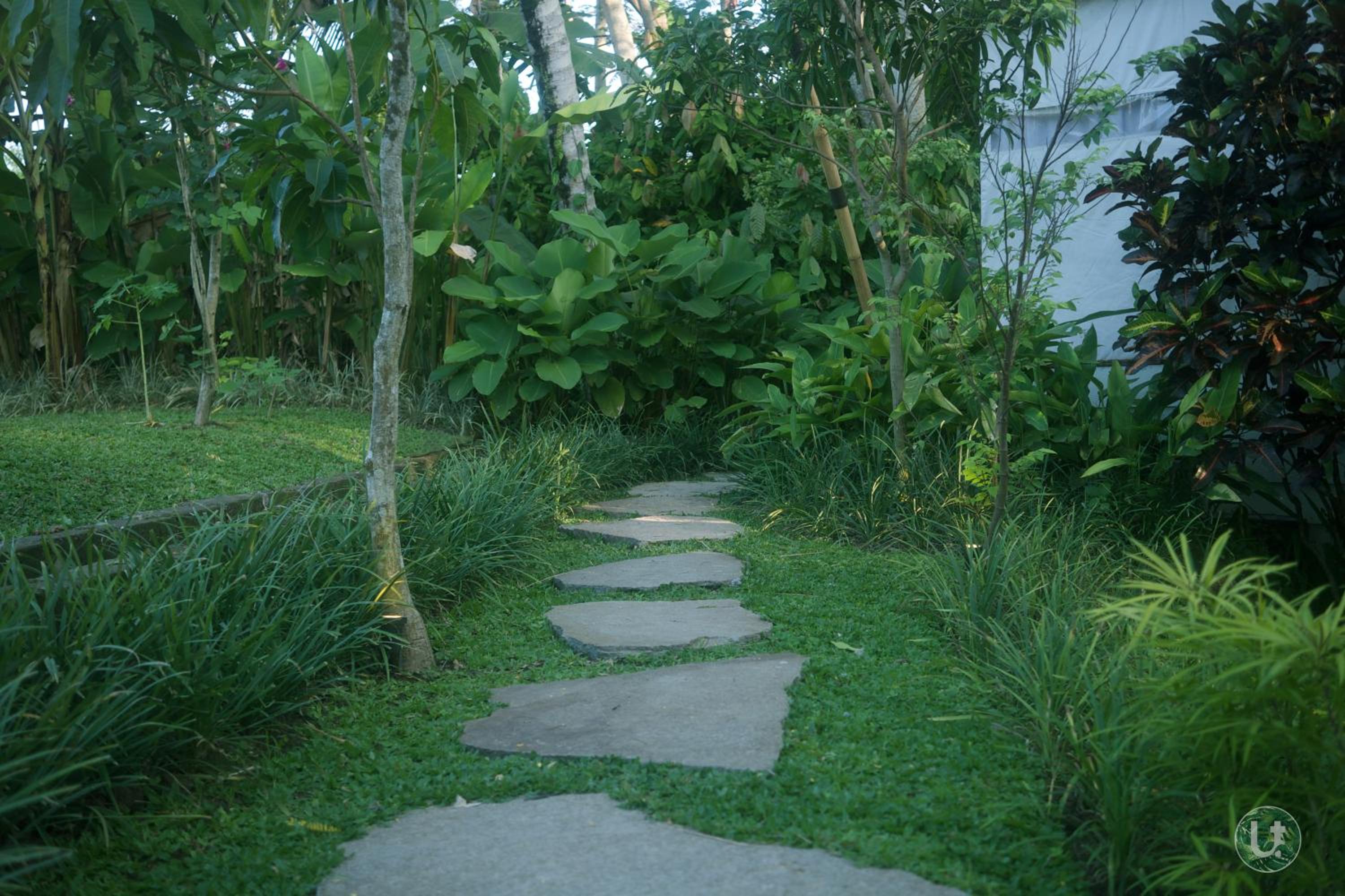 Ubud Tropical