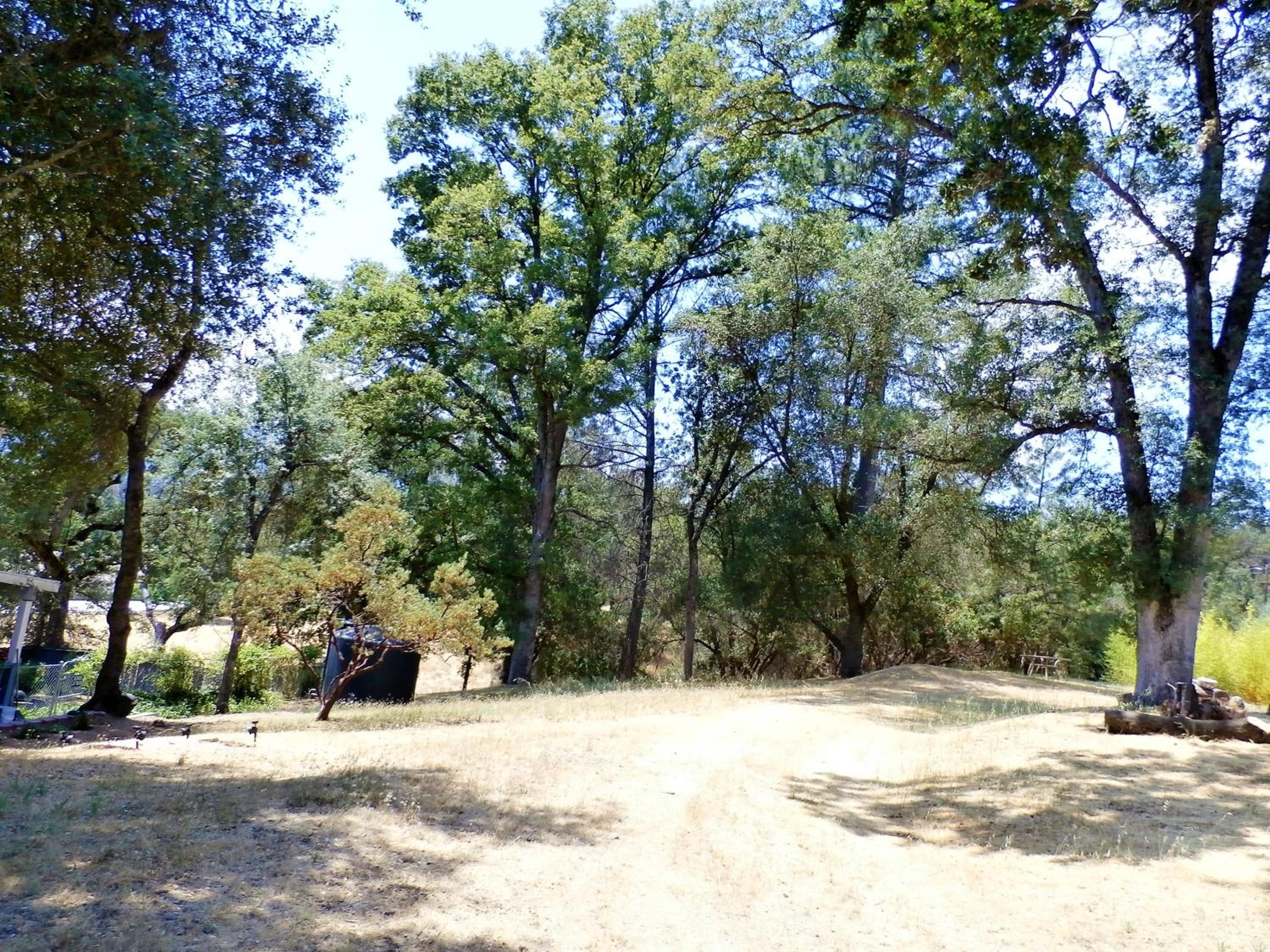 Photo 33