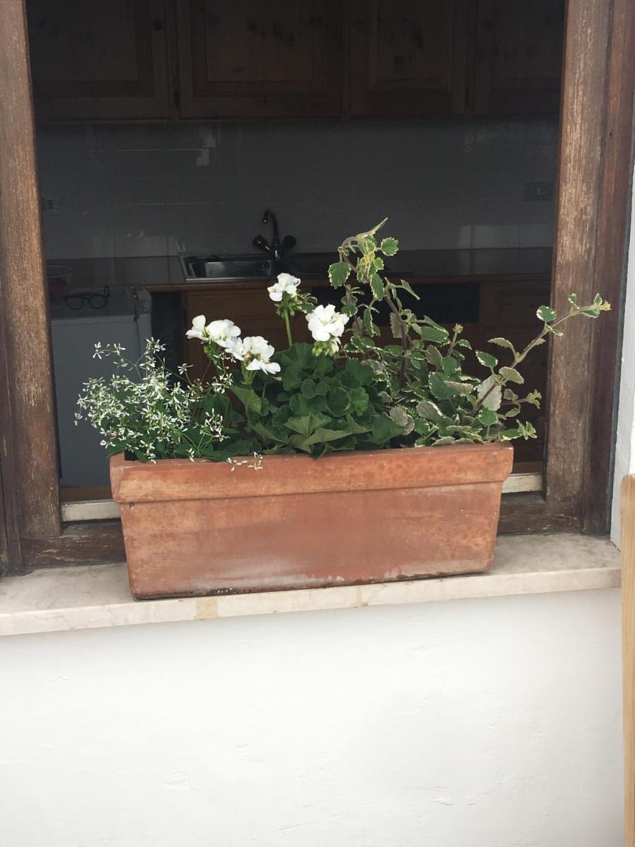 Photo 34