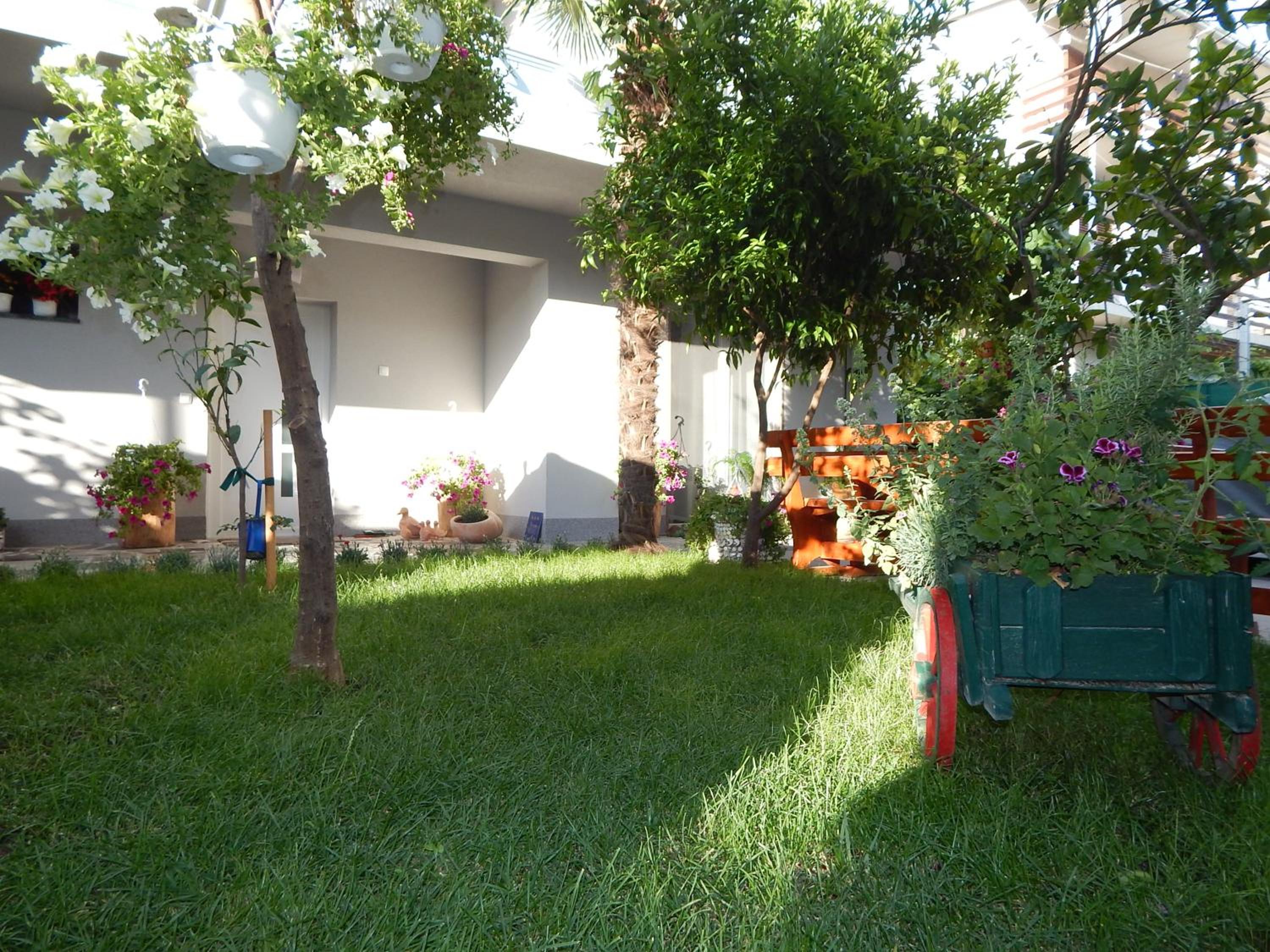 Photo 59
