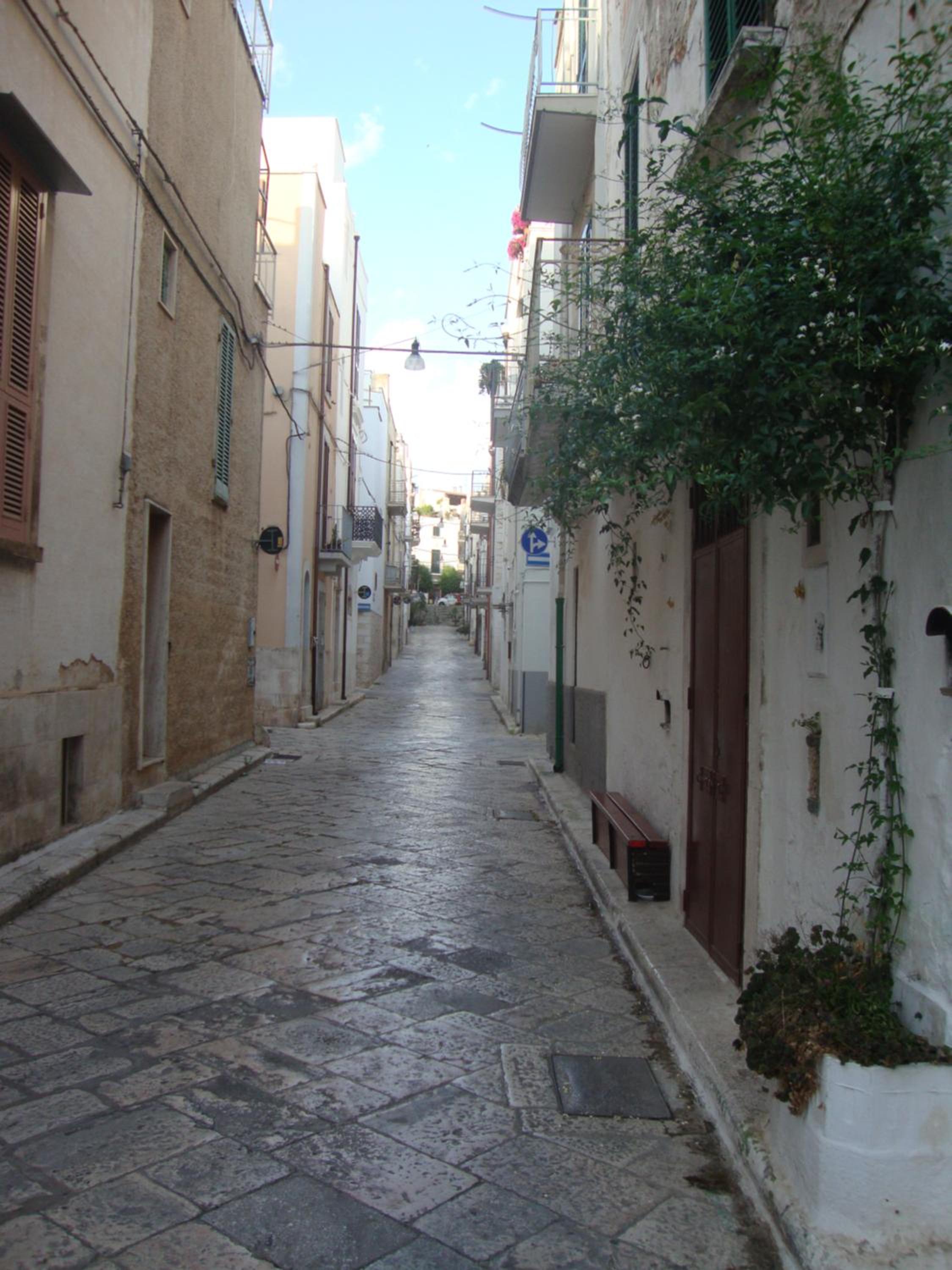 Photo 34