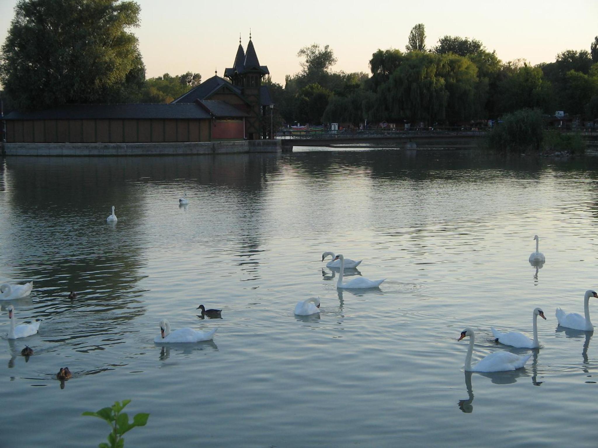 Photo 40