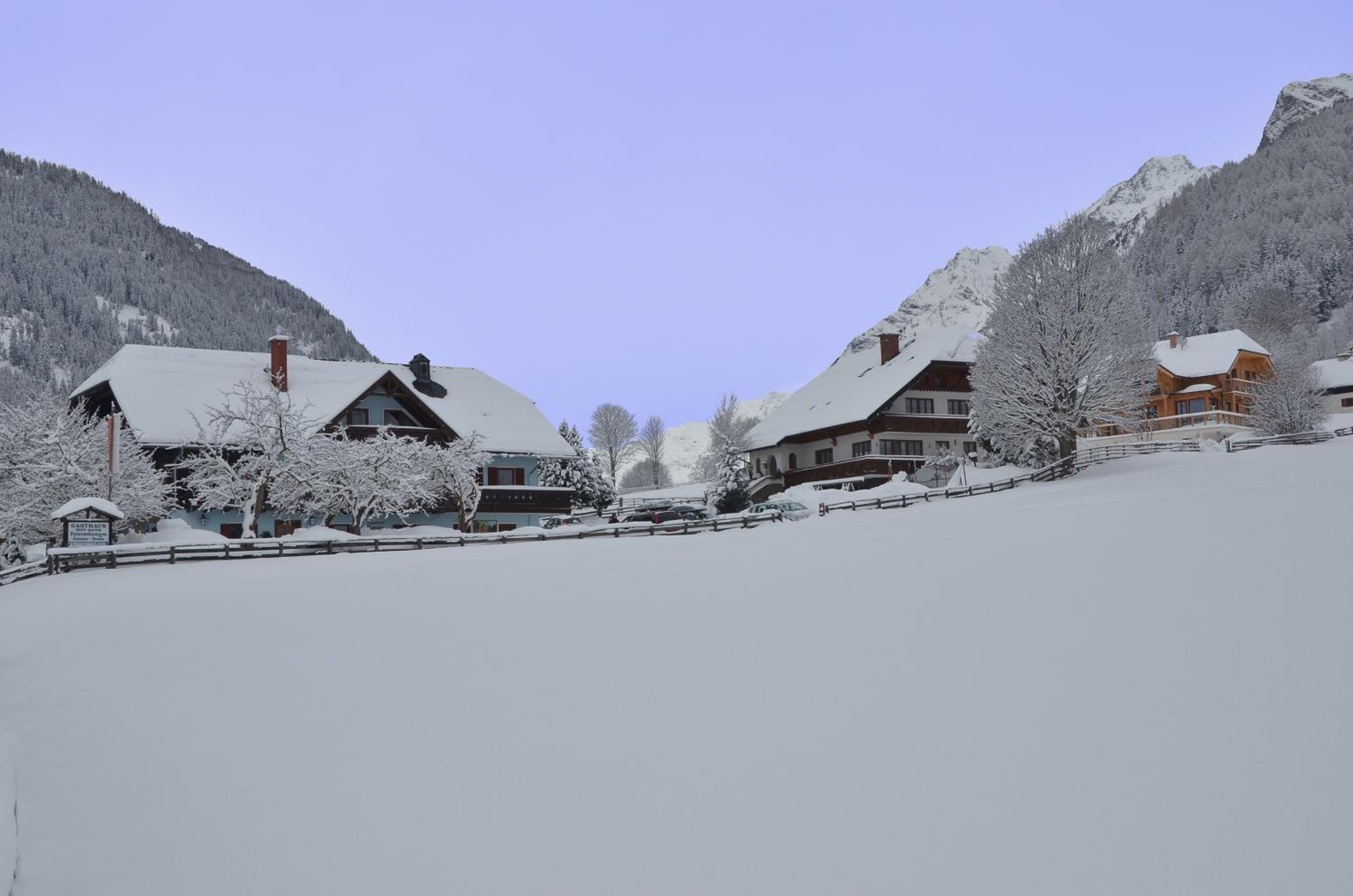 Landhotel - Apartments Bauer