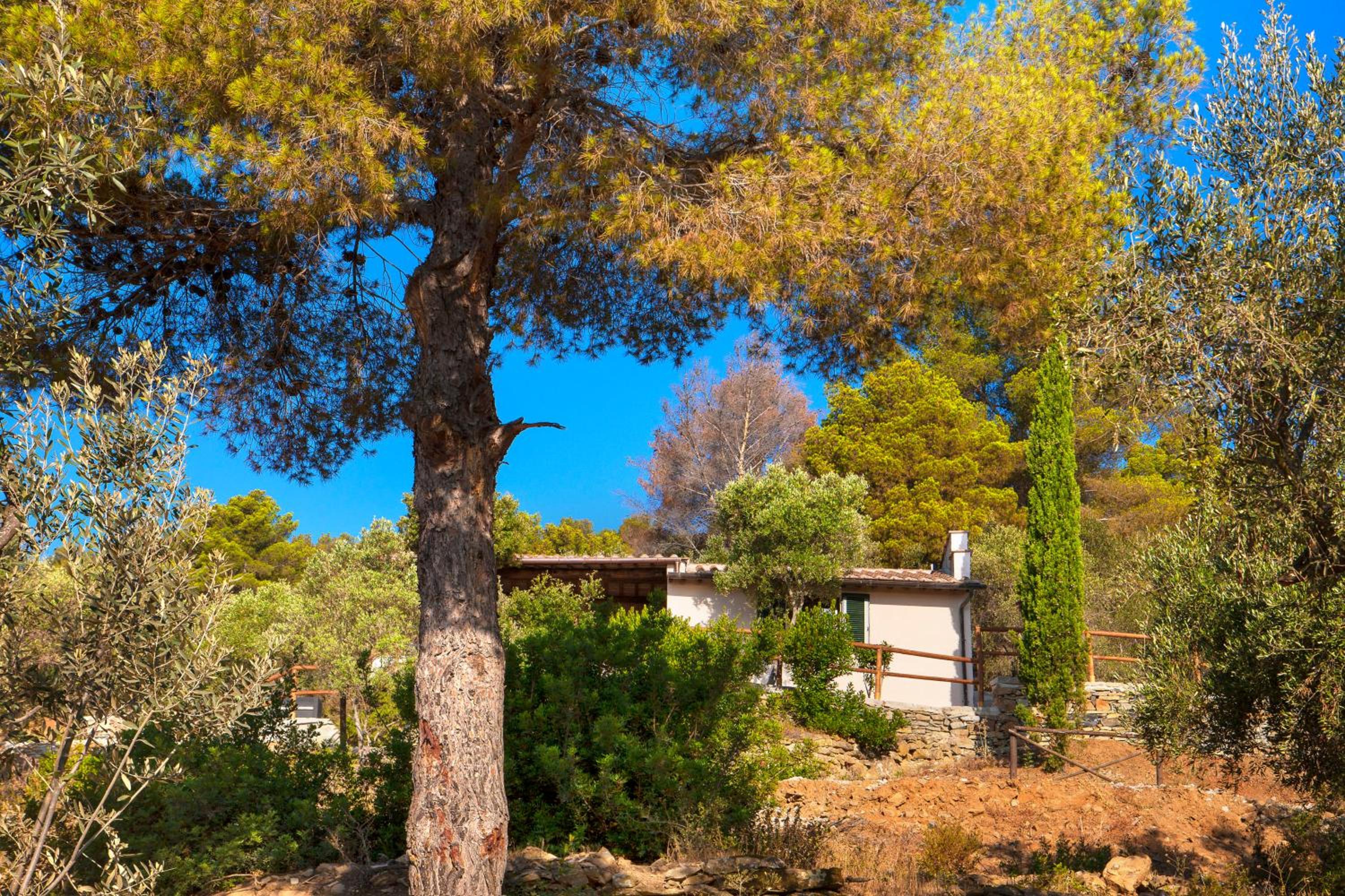 Agriturismo Galenzana