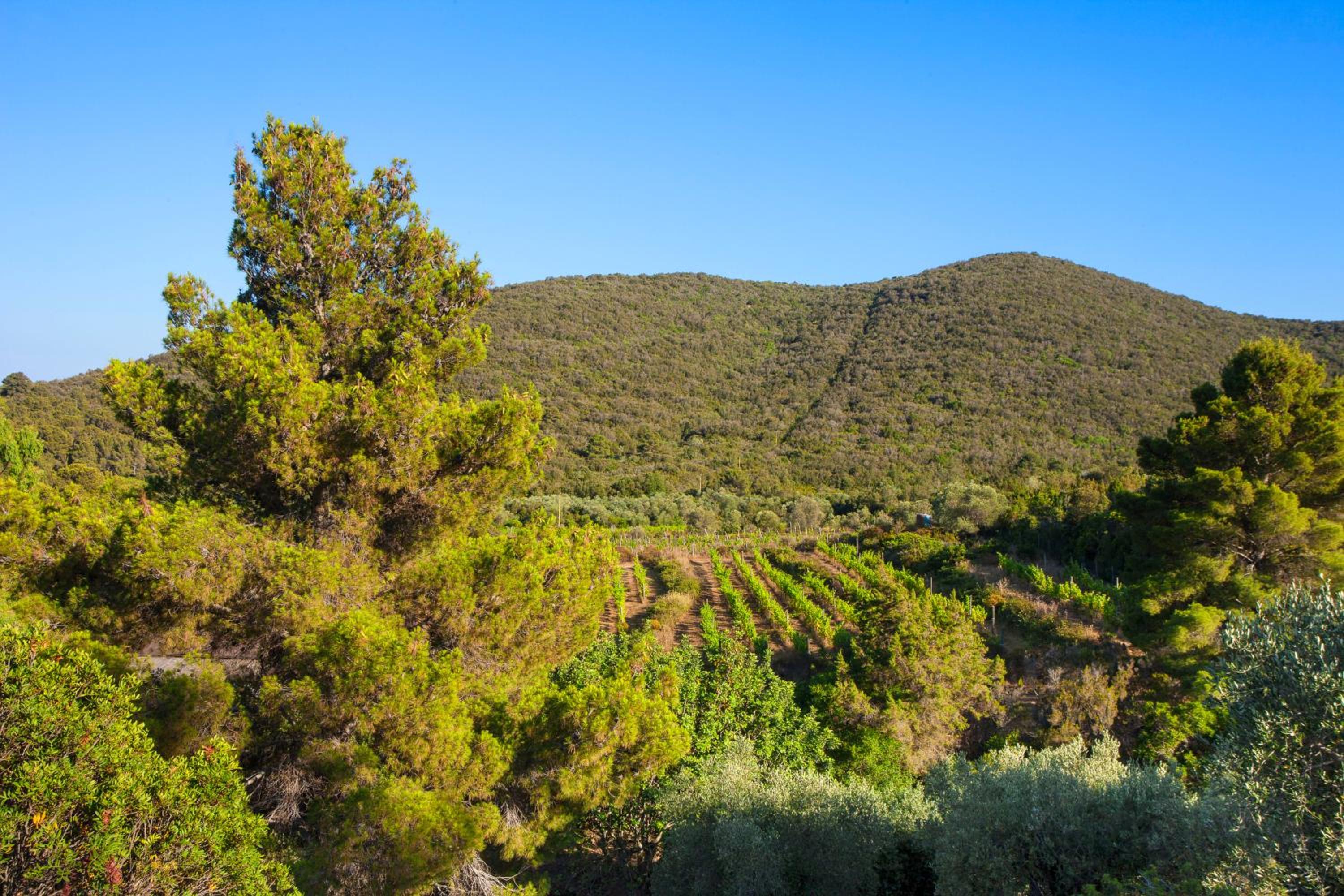 Agriturismo Galenzana