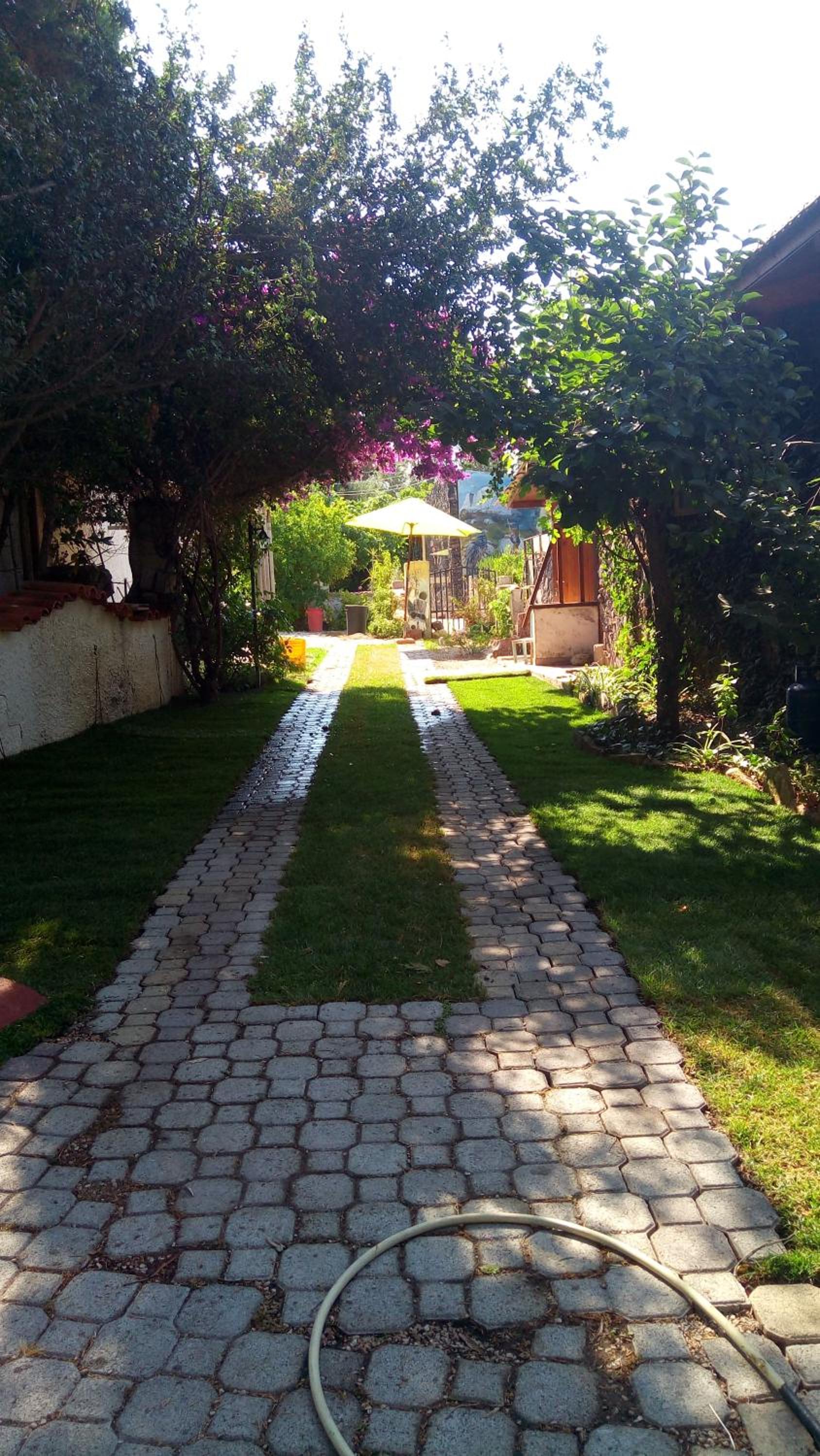 Photo 26