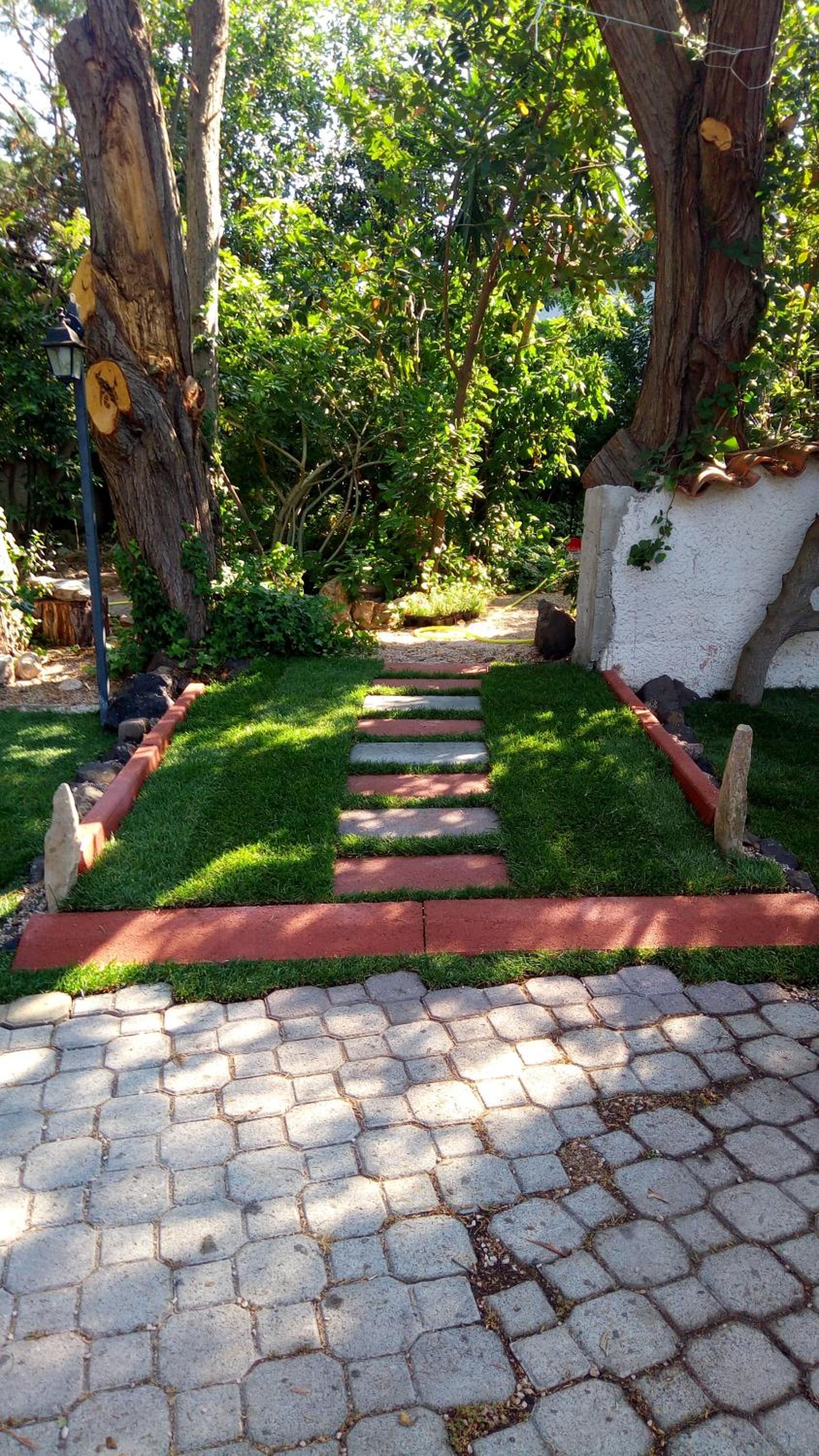 Photo 25