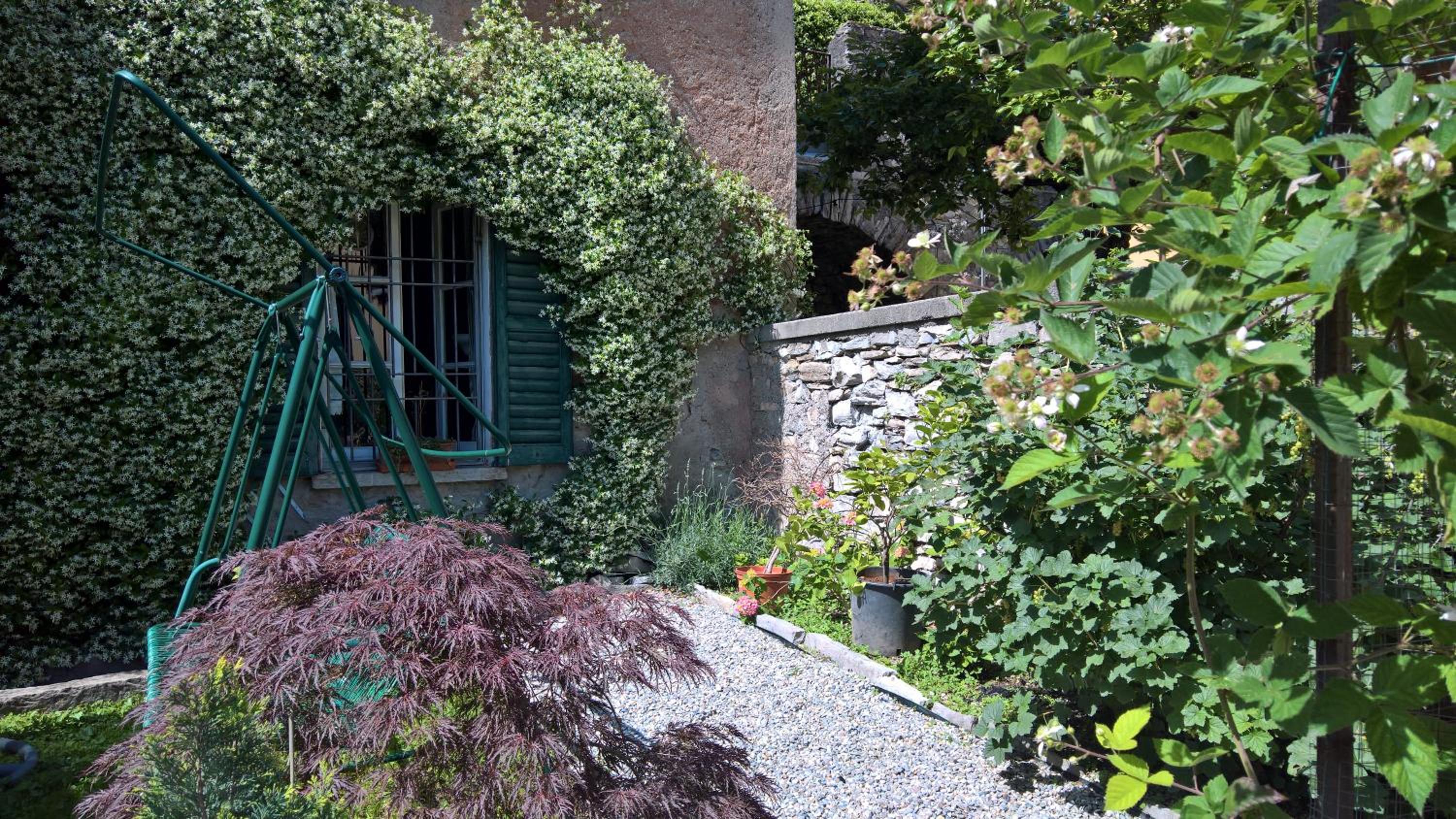 B&B 