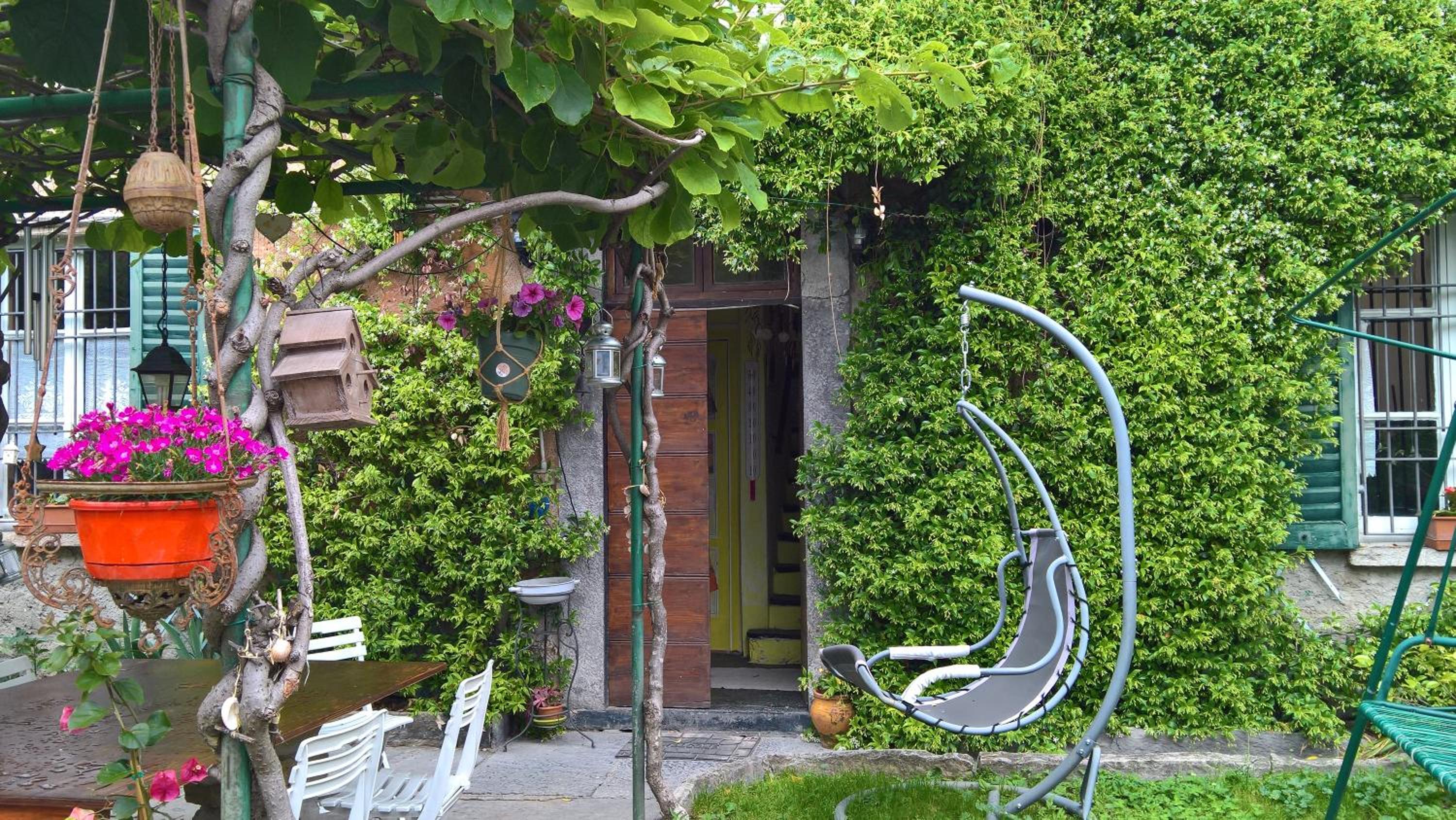 B&B 