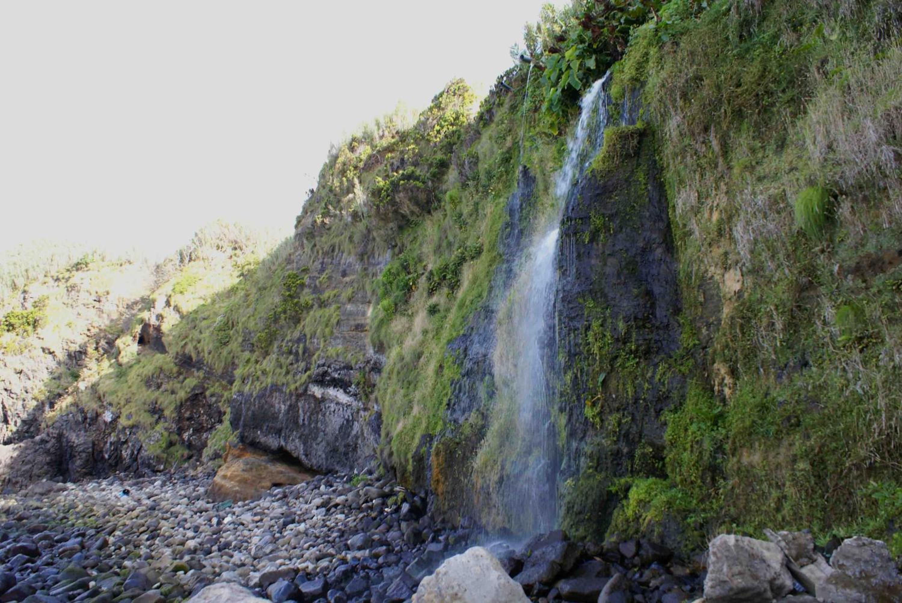 Photo 52