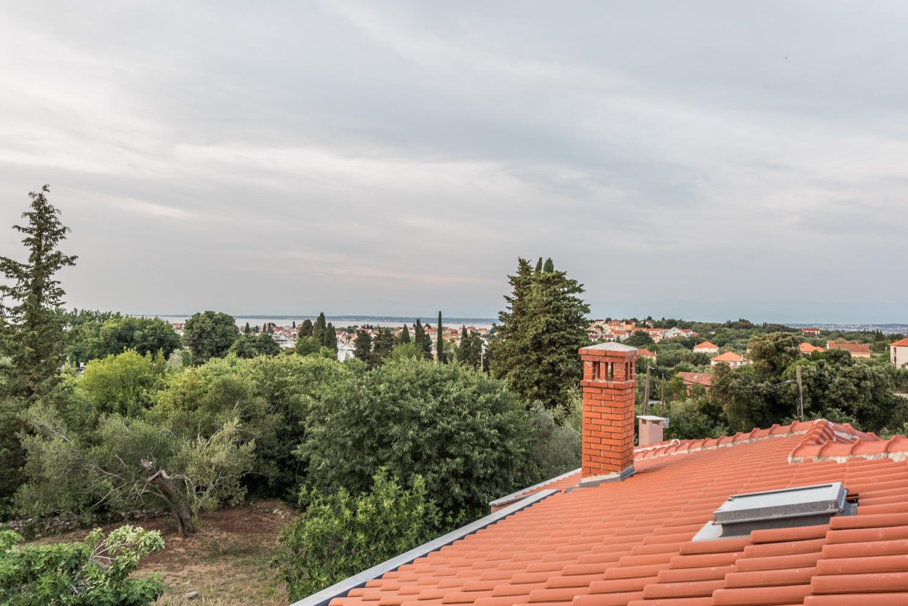 Photo 167