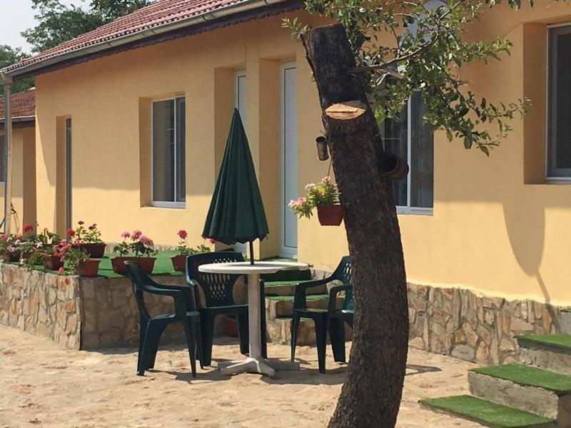 Guest House Viola