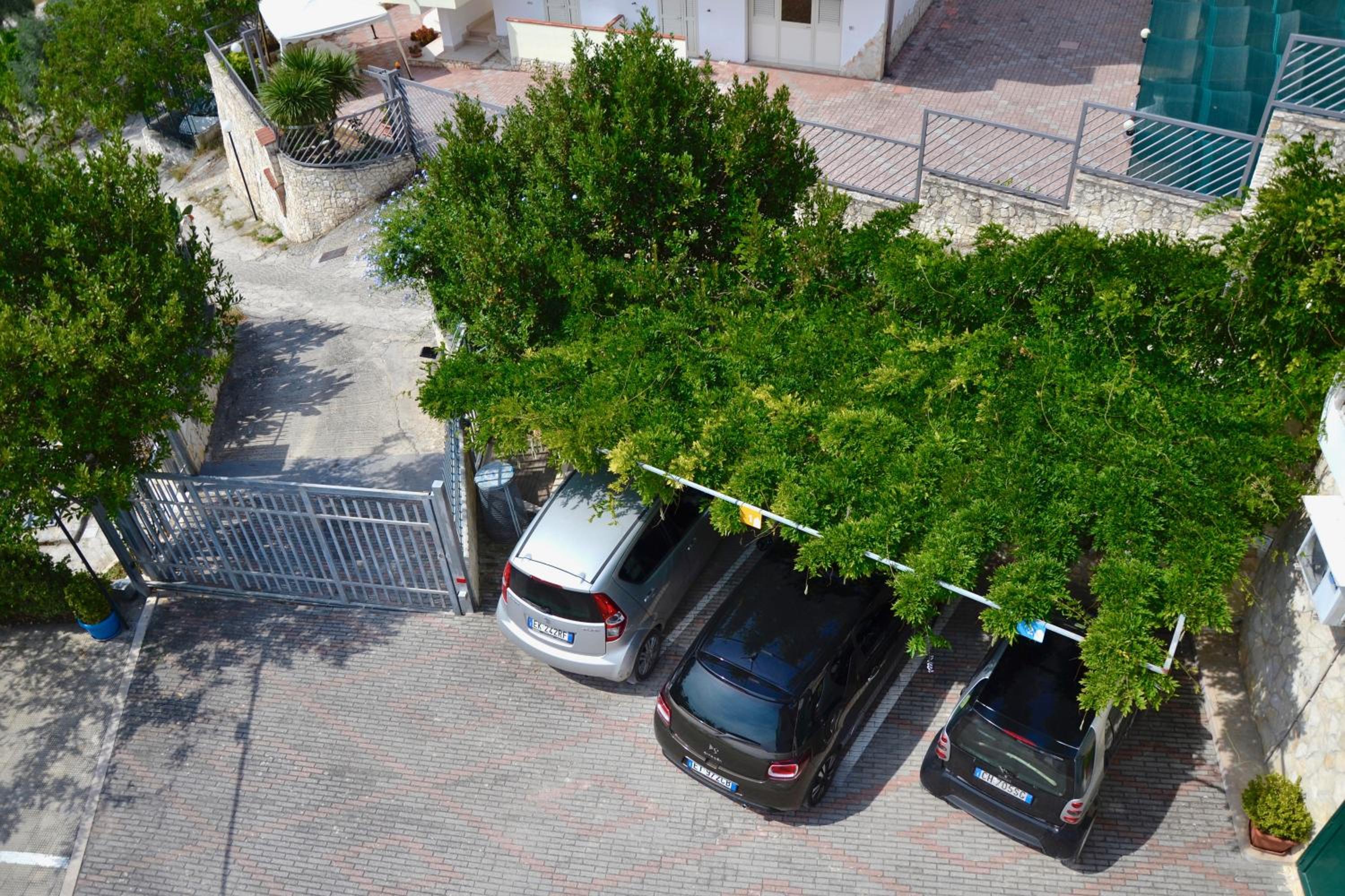 B&B Il Giardino Stellato photo 5