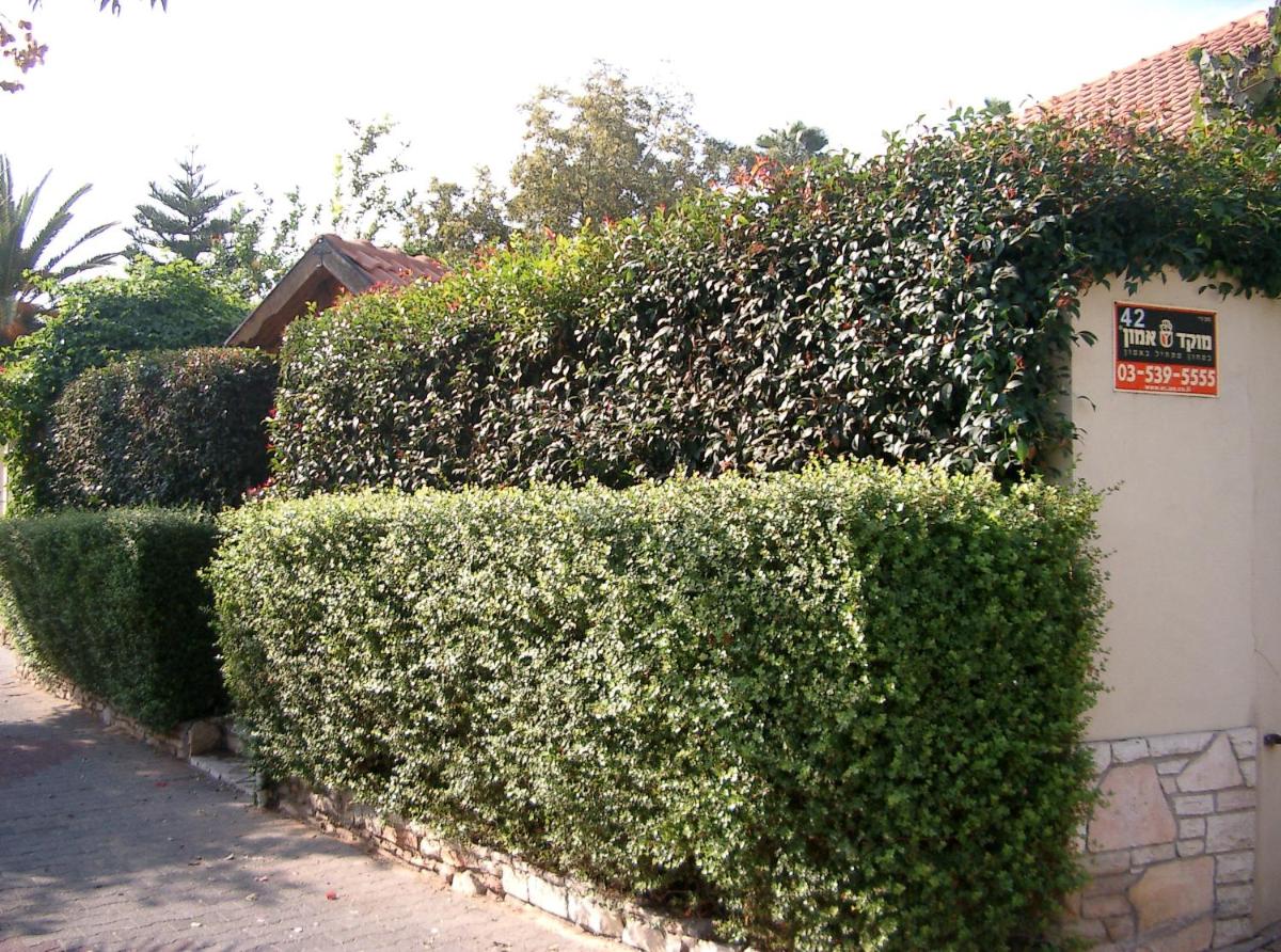 Photo 25