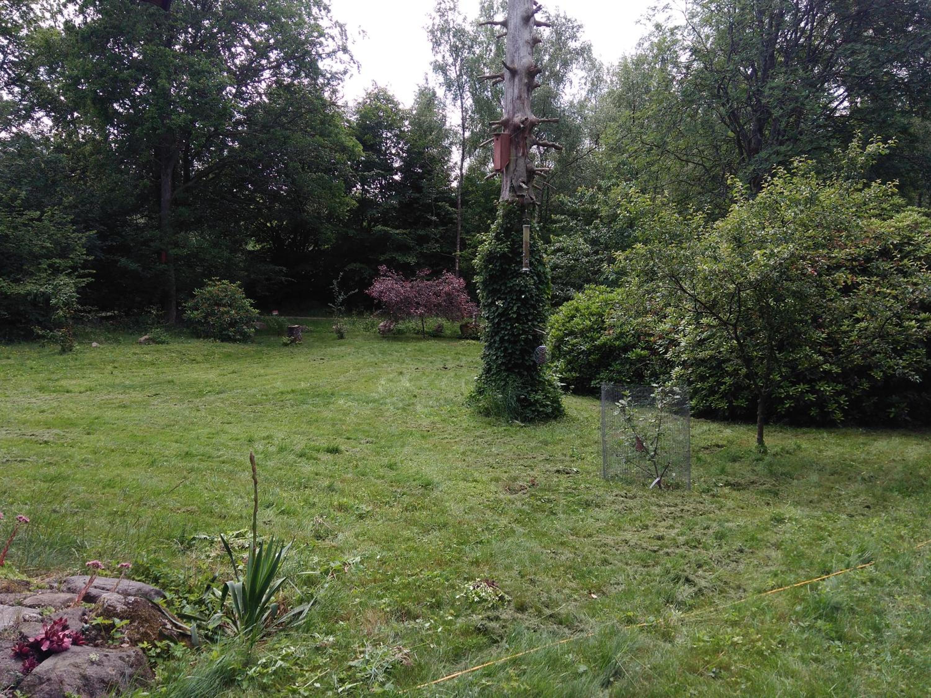 Photo 25