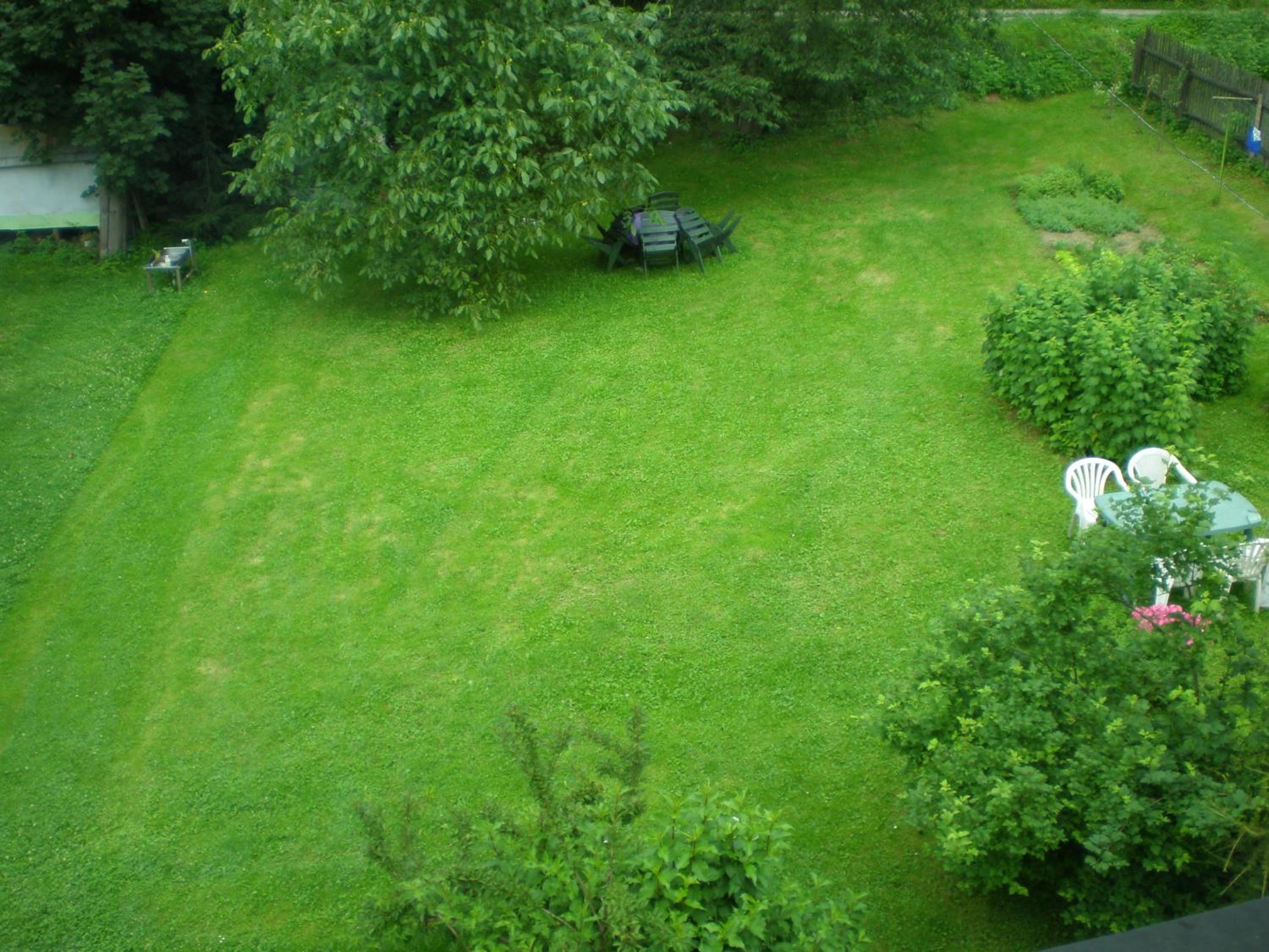 Photo 54