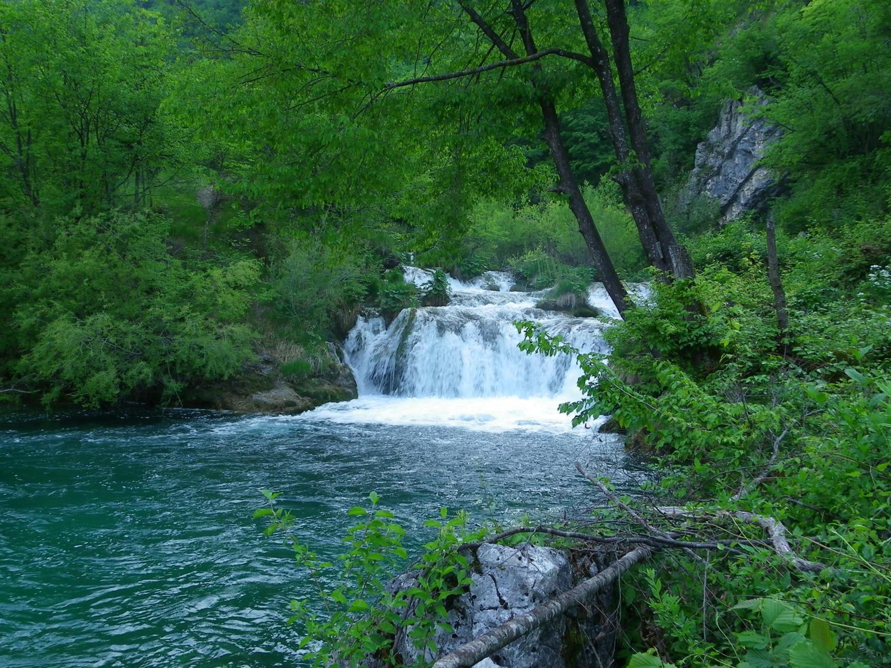 Photo 8