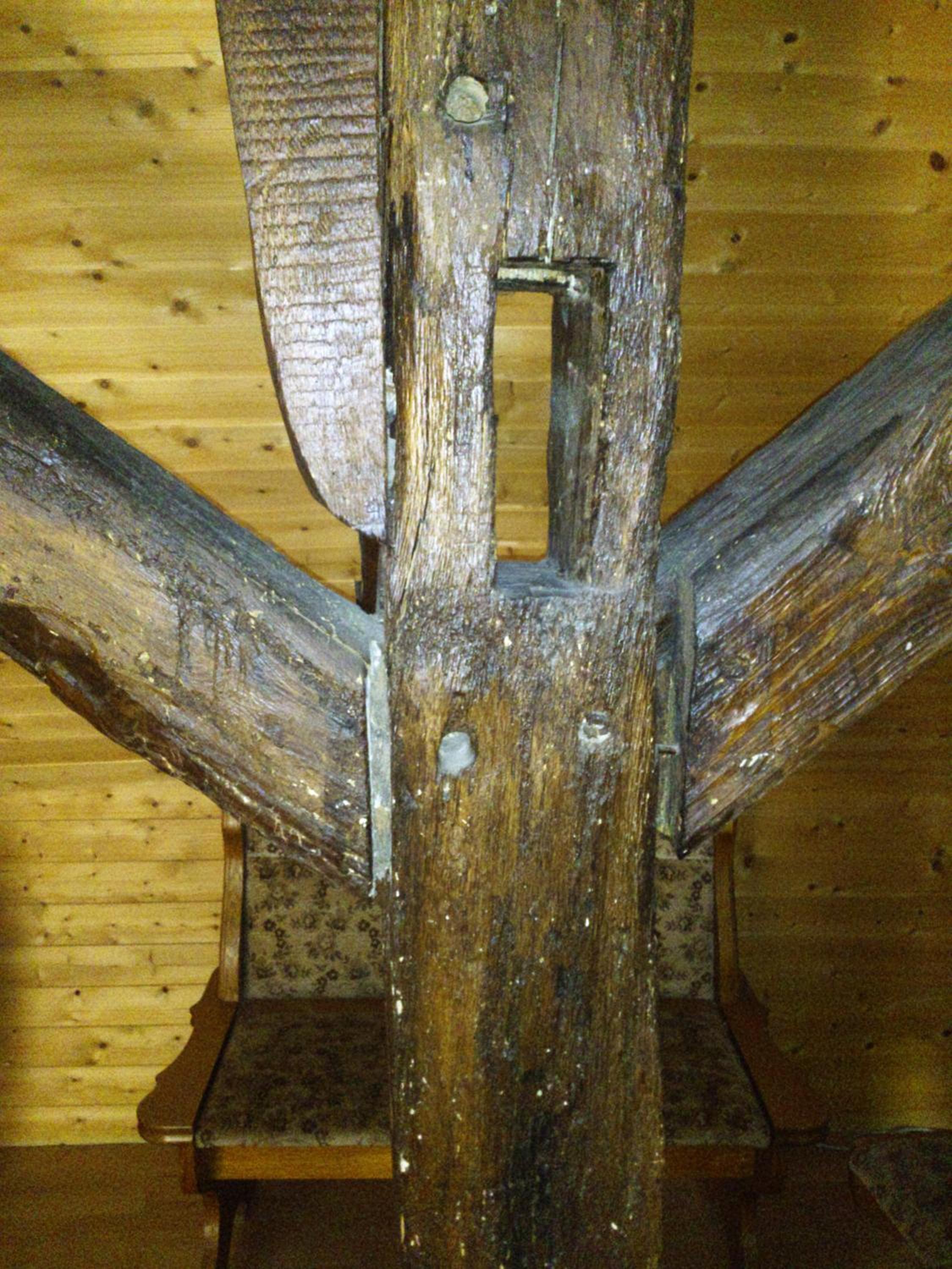 Photo 25