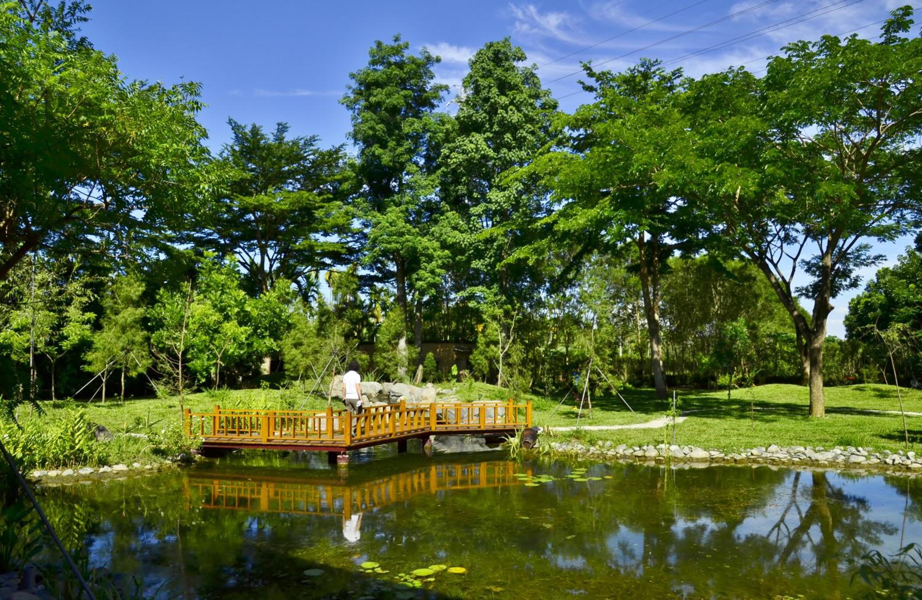 Photo 100