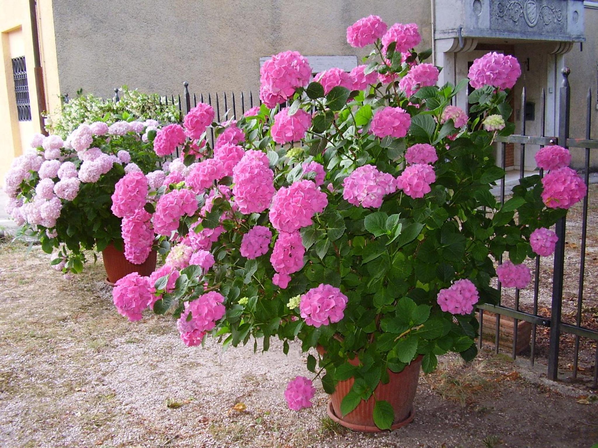 Photo 29