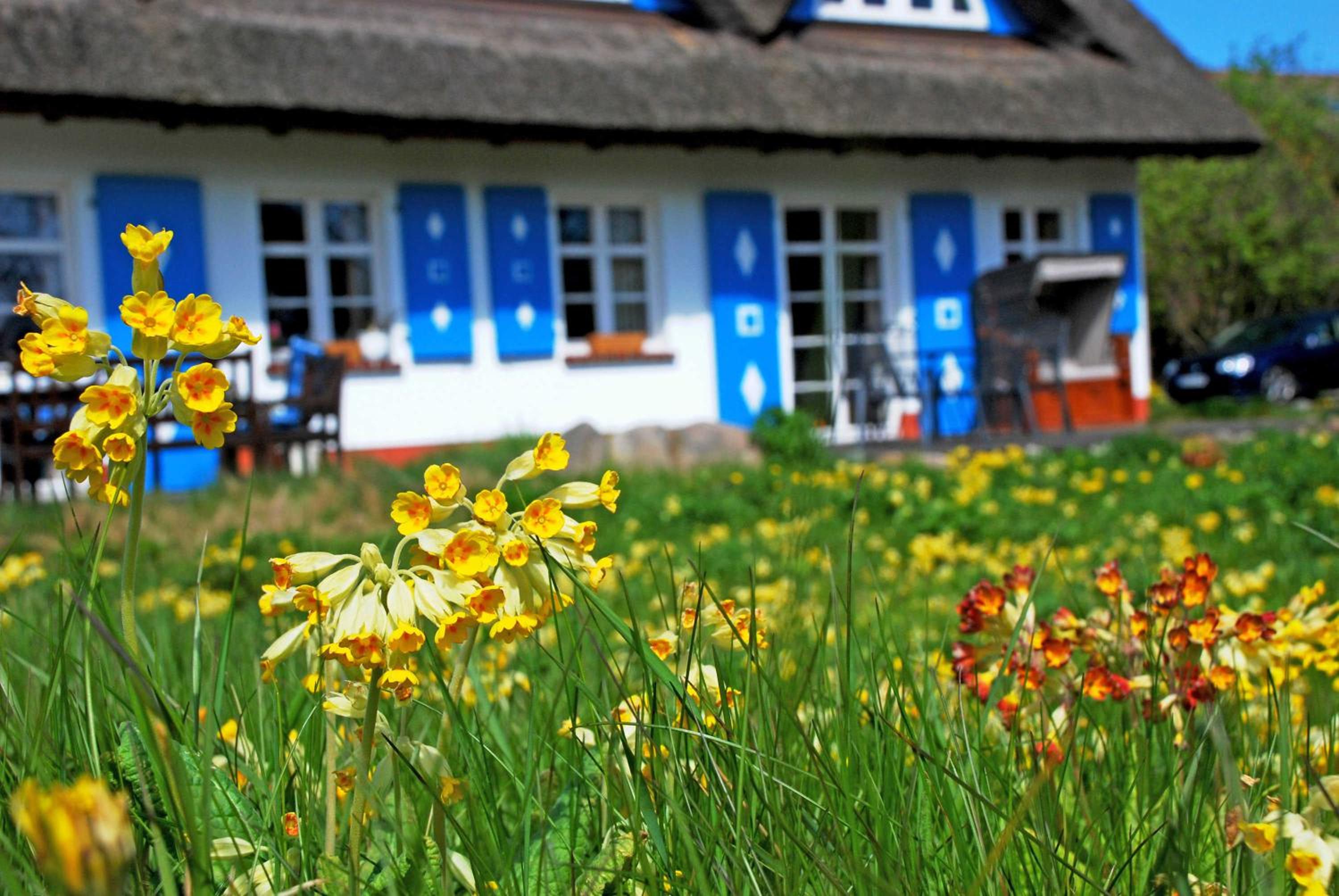 Ferienwohnungen unterm Reetdach