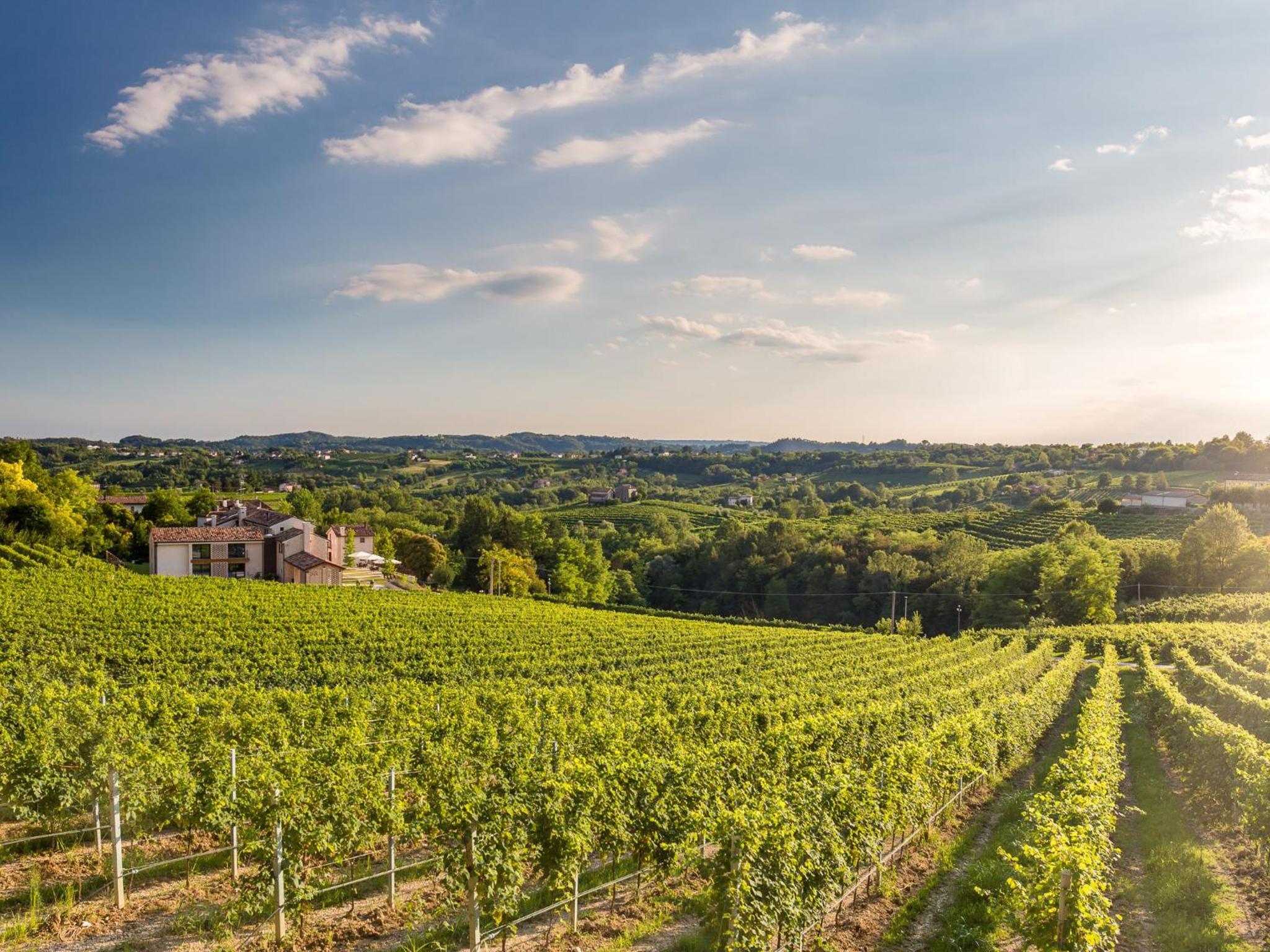 Tenuta Sant'Eufemia