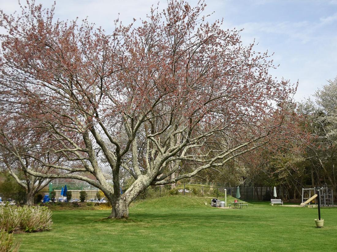 East Hampton House Resort 118