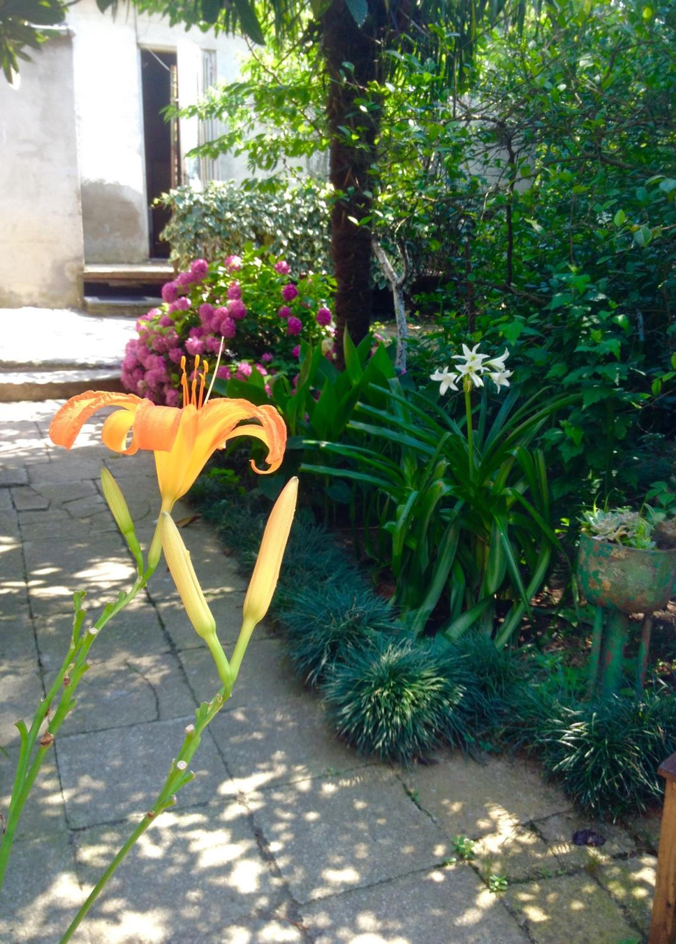 Colibri Home