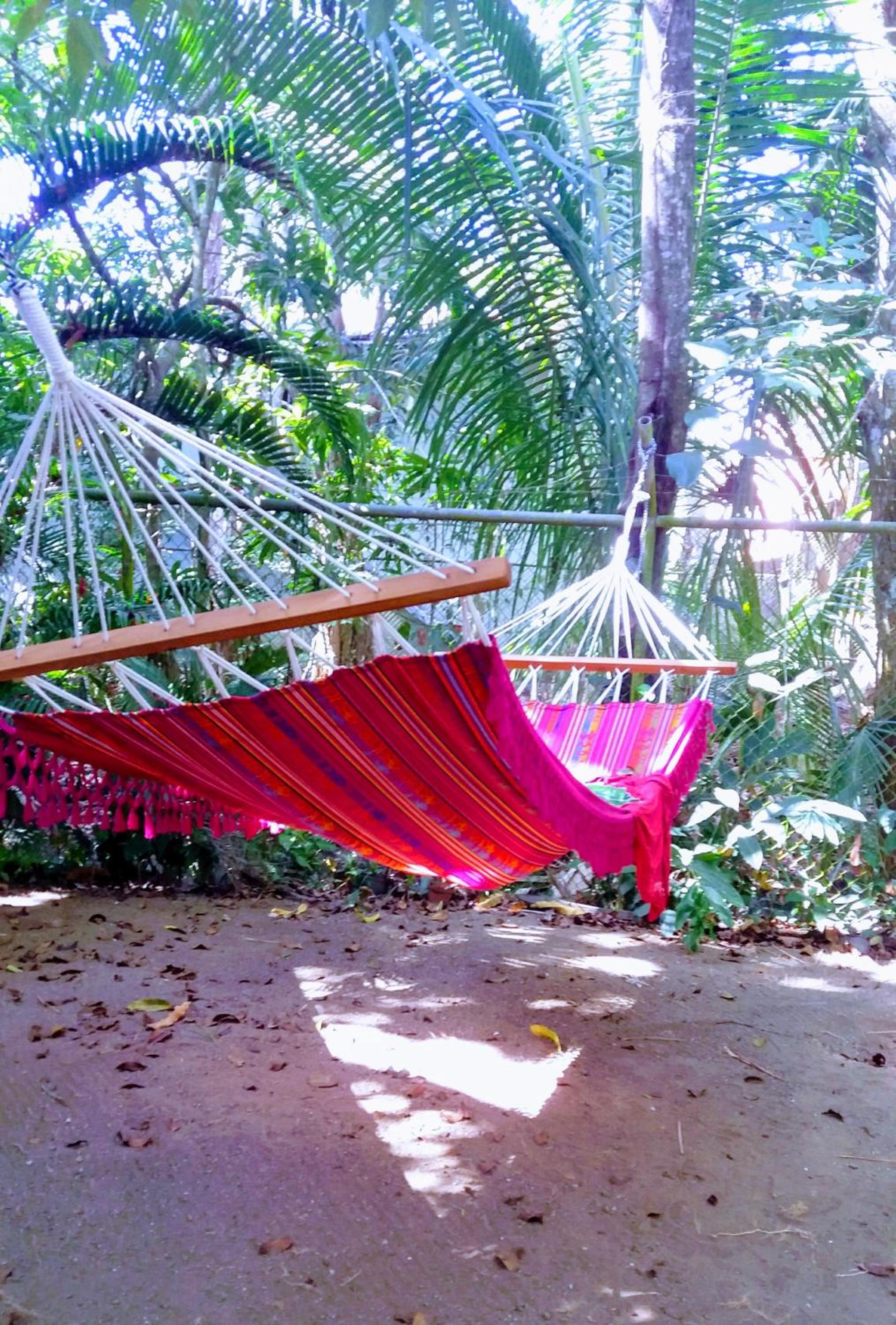 Casajungla Hostel