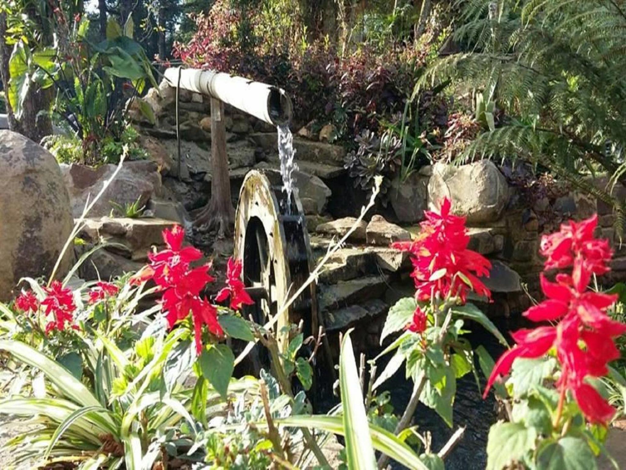 Photo 43