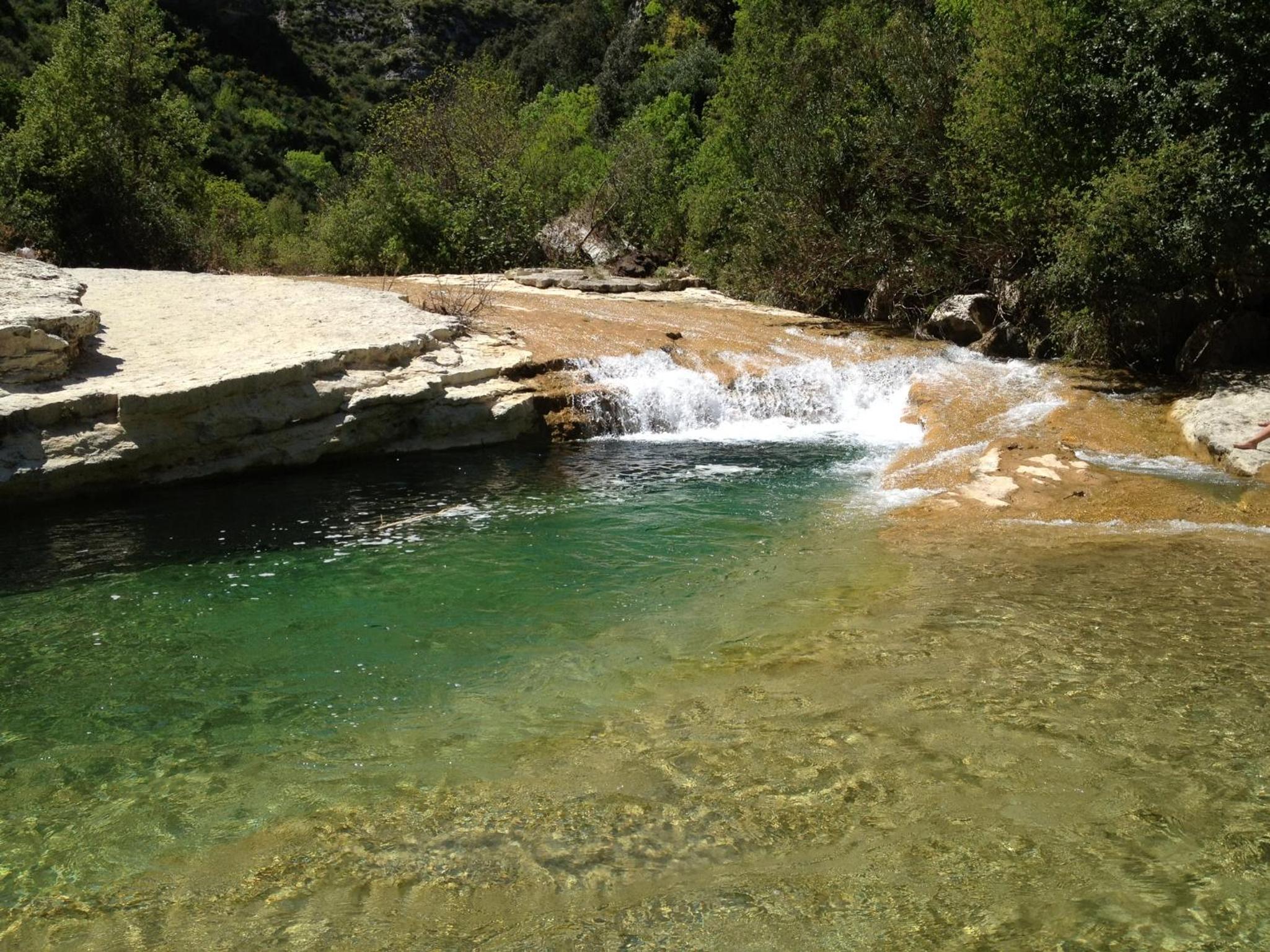 Photo 46